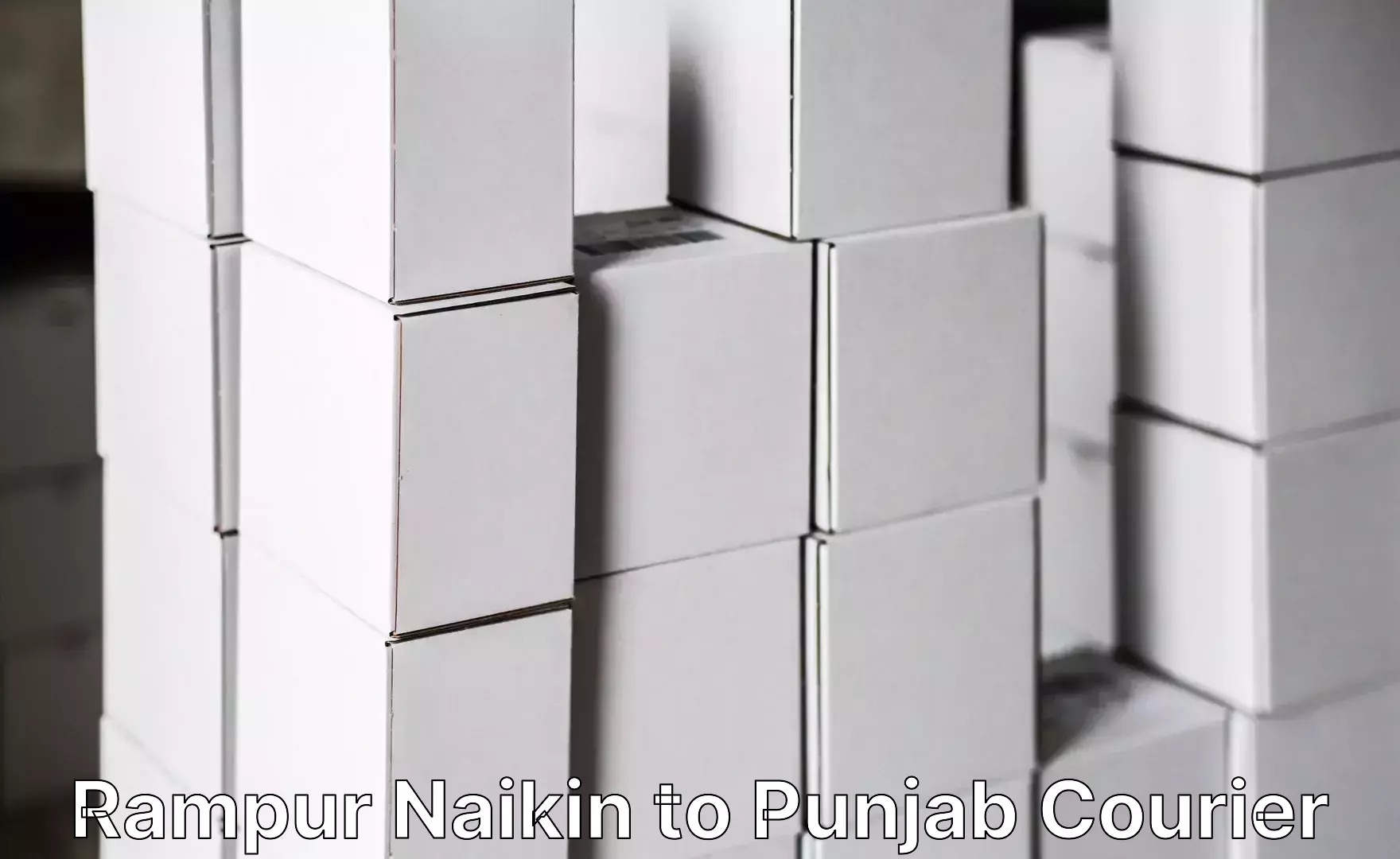 High-quality moving services in Rampur Naikin to Central University of Punjab Bathinda