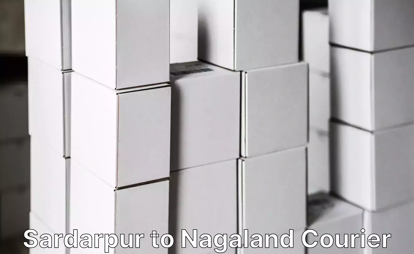 Advanced relocation solutions Sardarpur to Nagaland