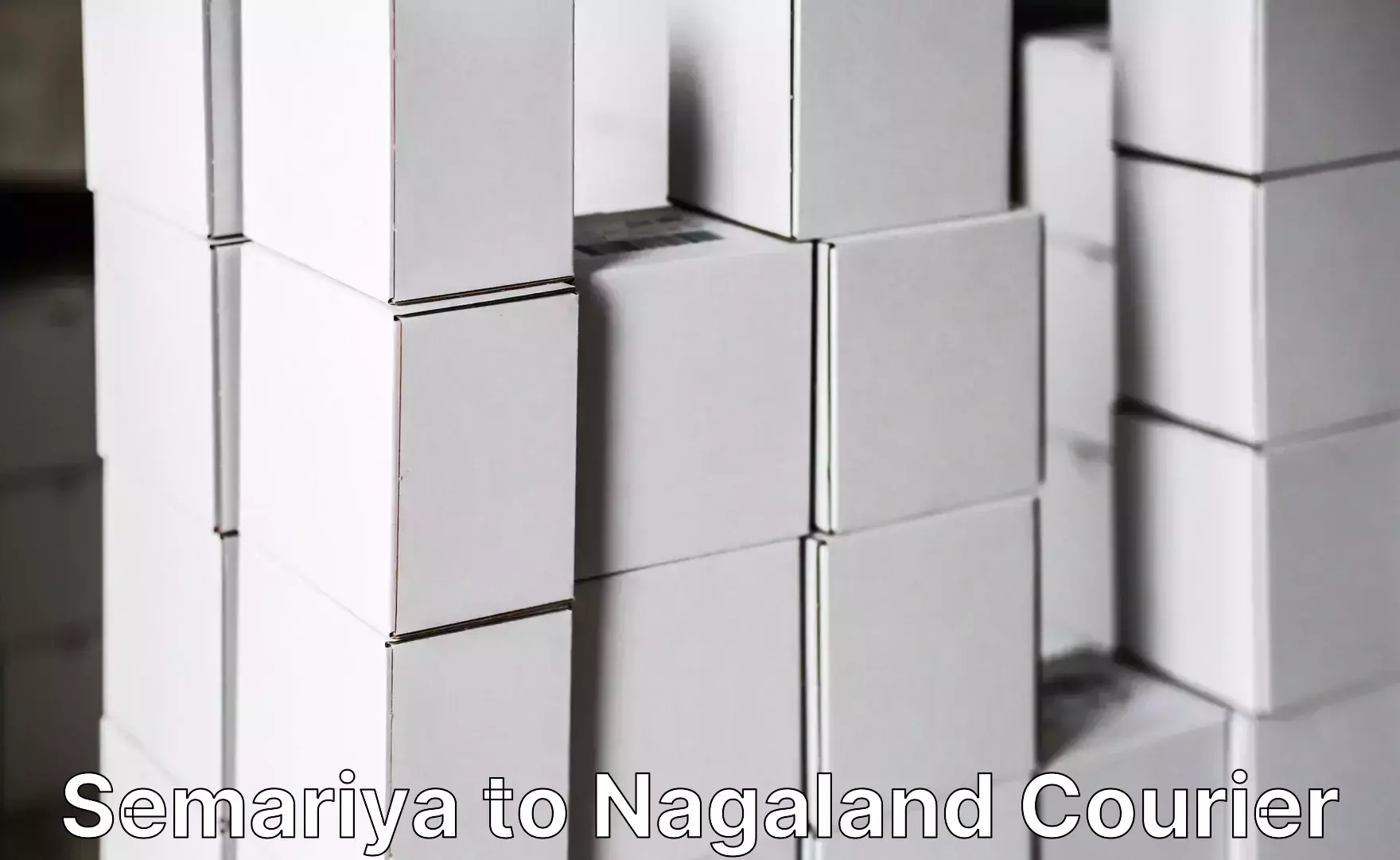 High-quality moving services Semariya to Nagaland