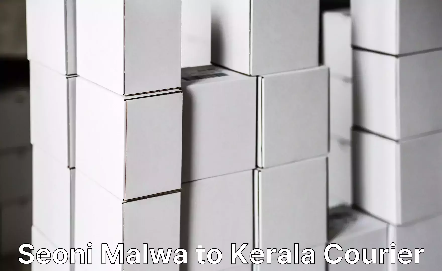 Furniture moving service Seoni Malwa to Ayoor