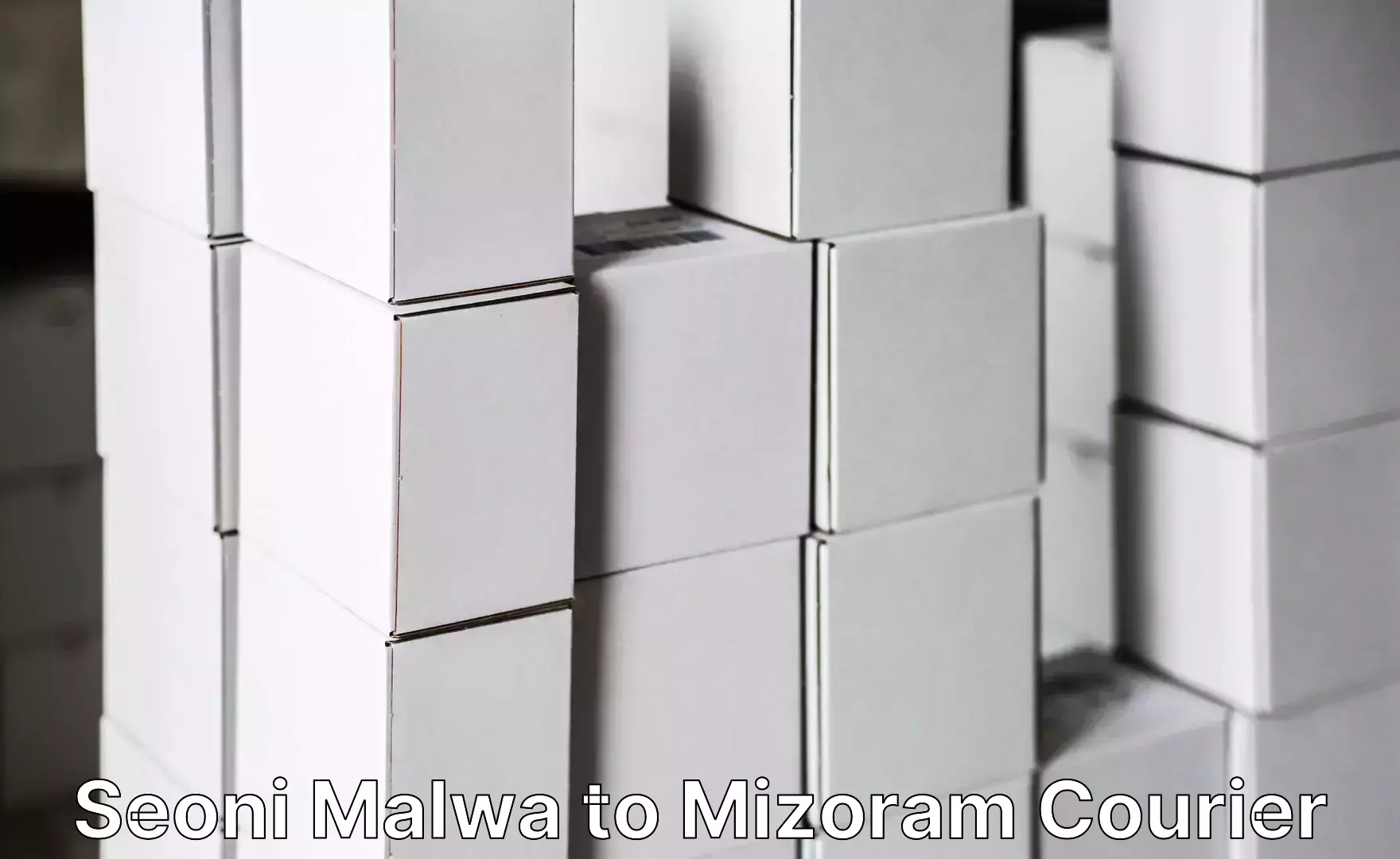 Custom moving and storage Seoni Malwa to Mizoram