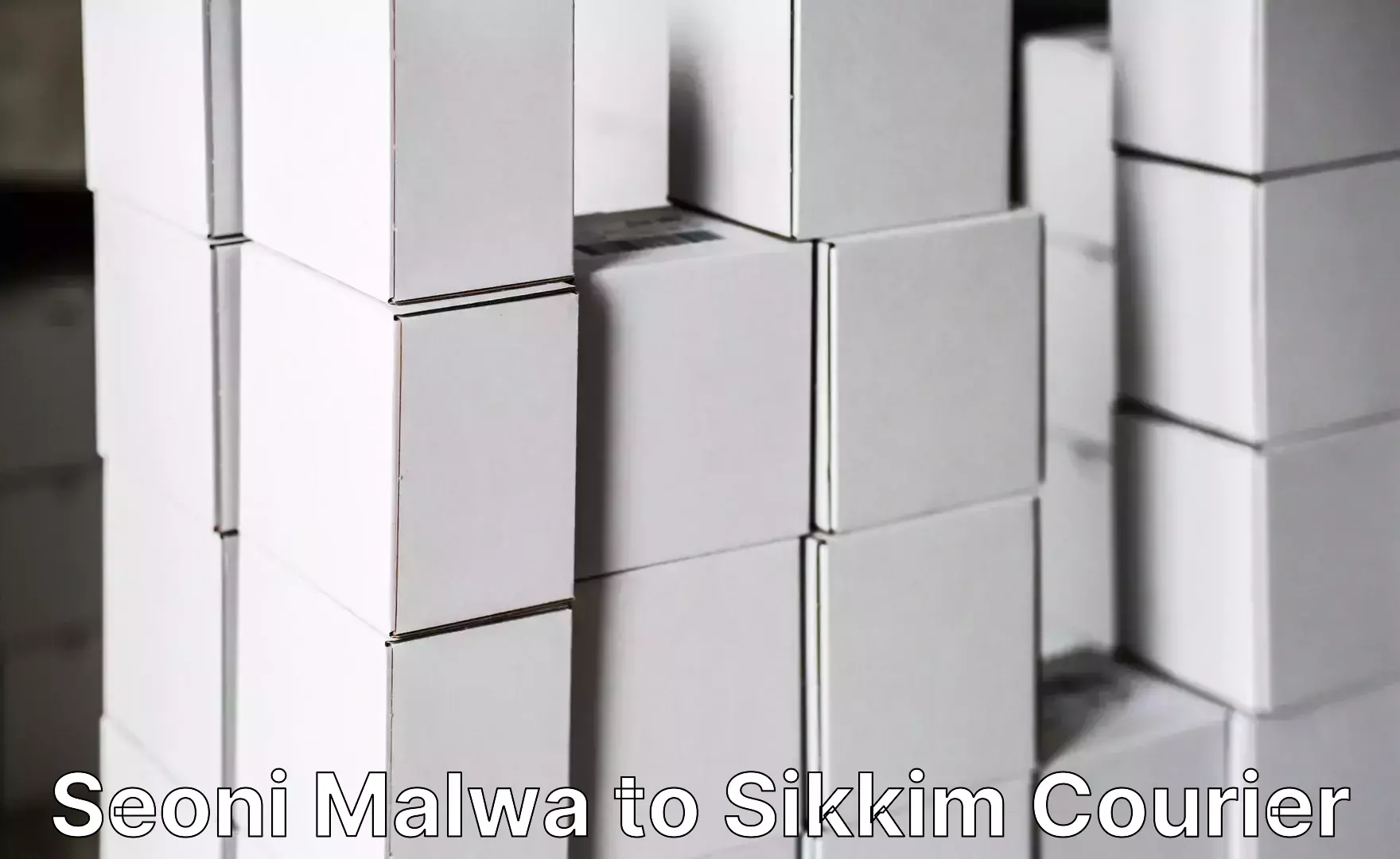 Tailored moving packages Seoni Malwa to East Sikkim