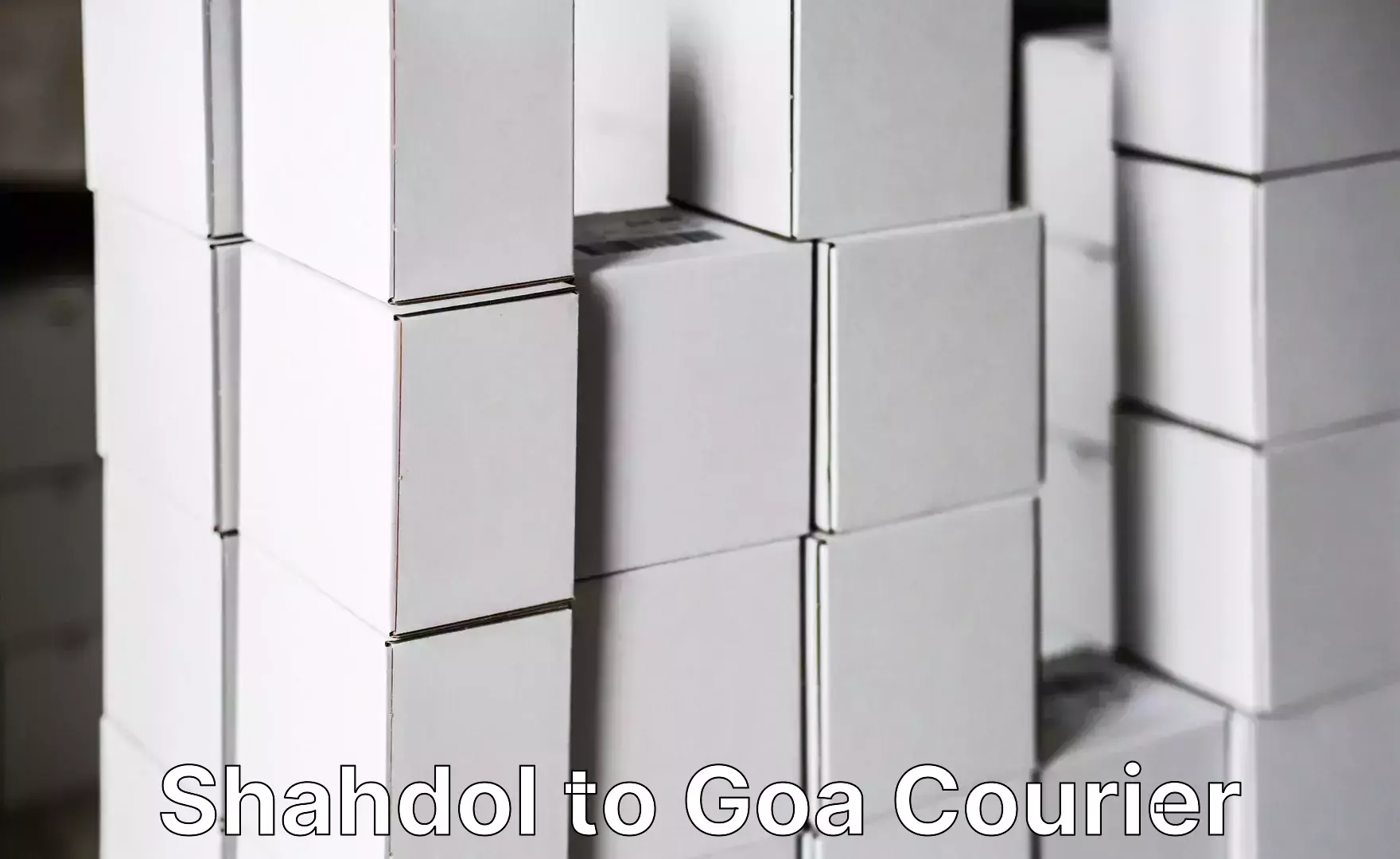 Furniture transport company Shahdol to South Goa