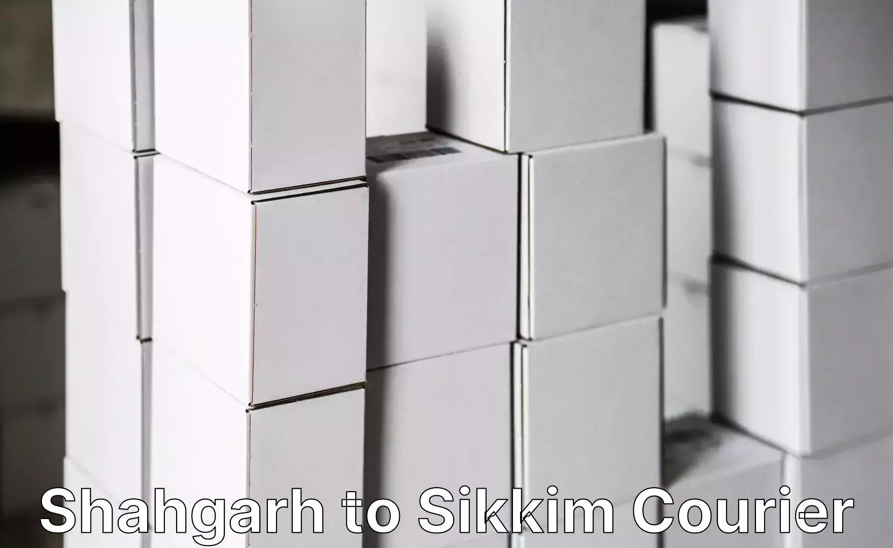 Professional goods transport Shahgarh to Sikkim