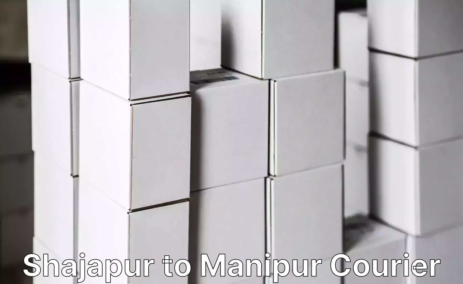 Effective moving solutions Shajapur to Manipur