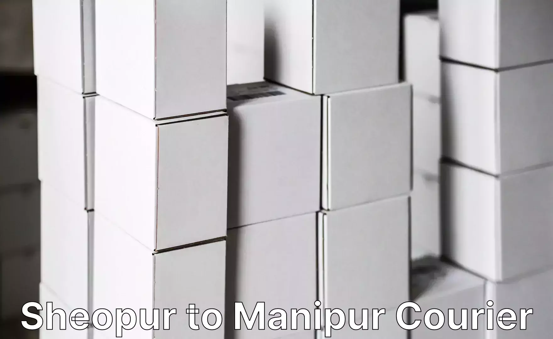 Efficient furniture movers Sheopur to NIT Manipur