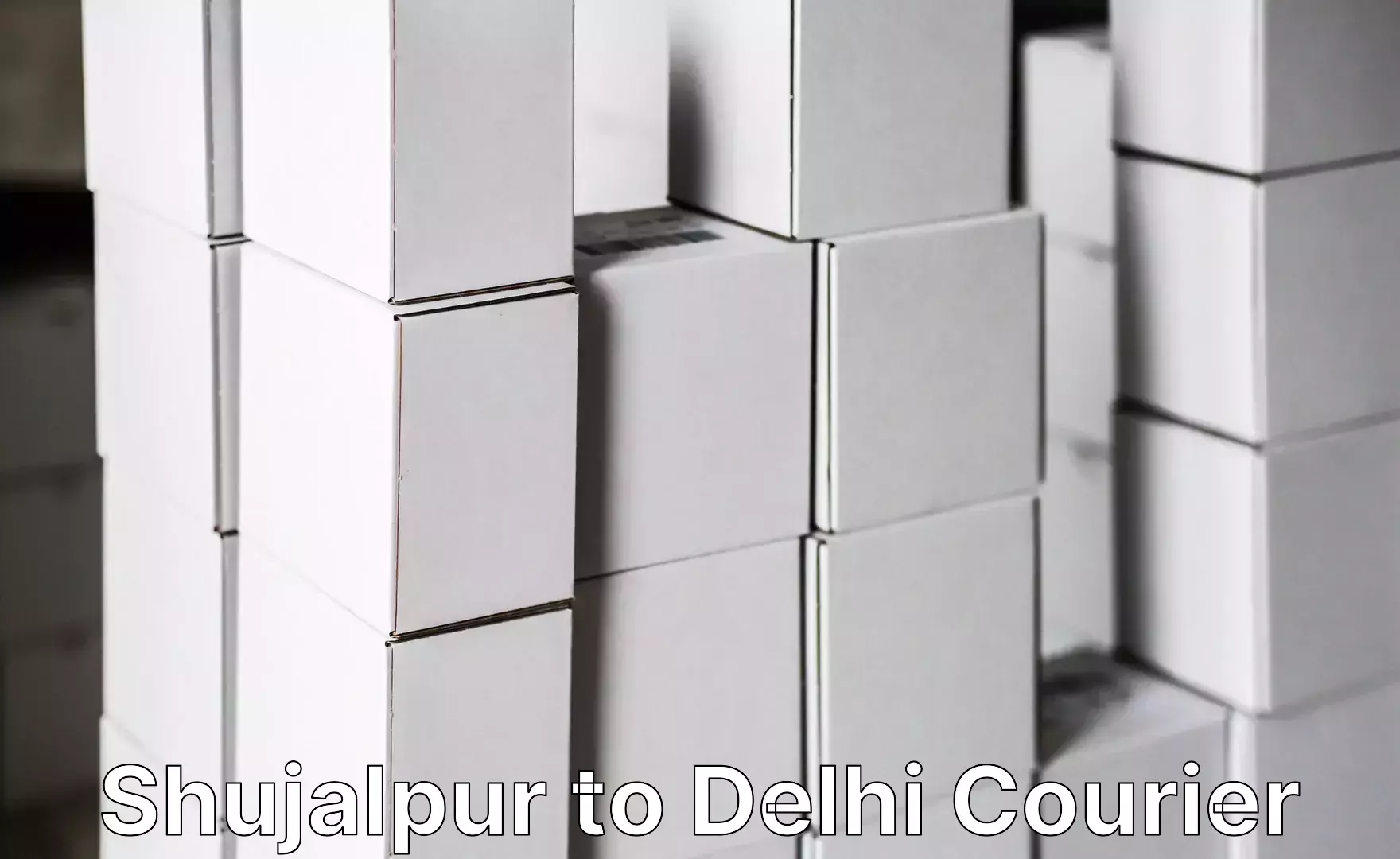 Quality furniture relocation Shujalpur to Delhi