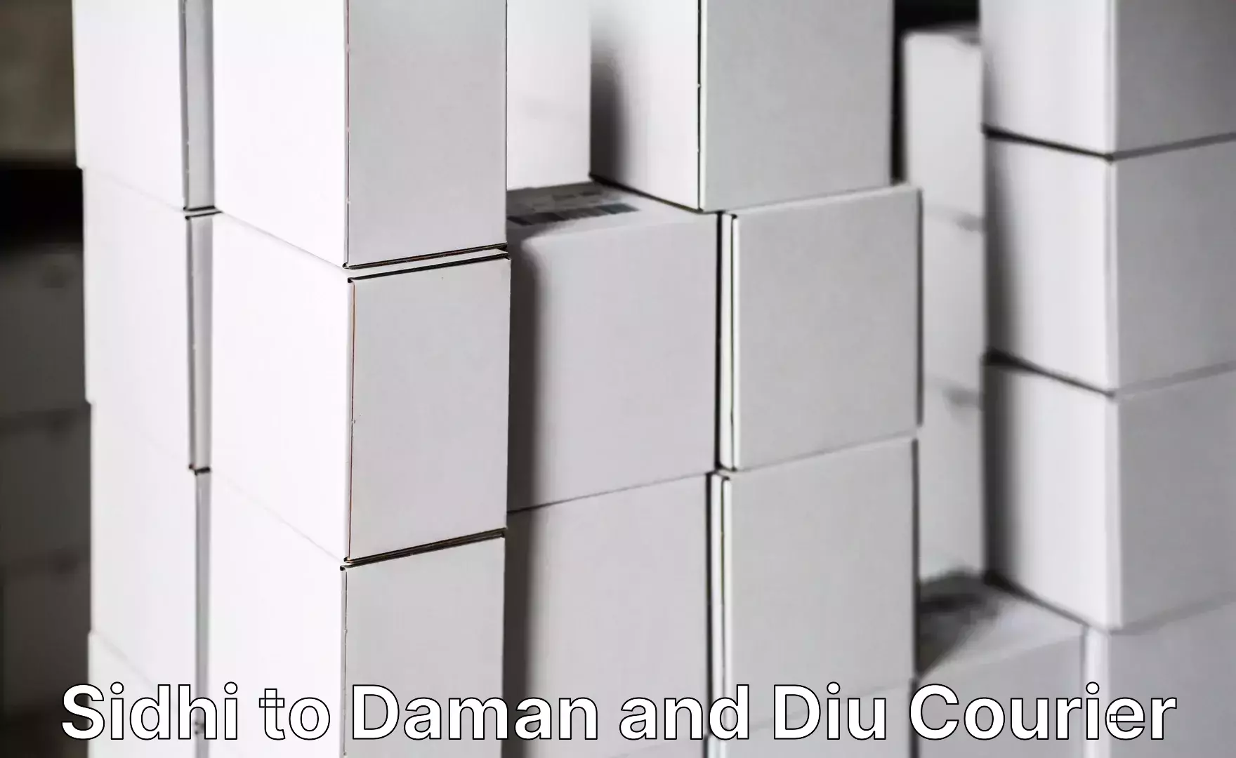 Cost-effective moving options Sidhi to Daman and Diu