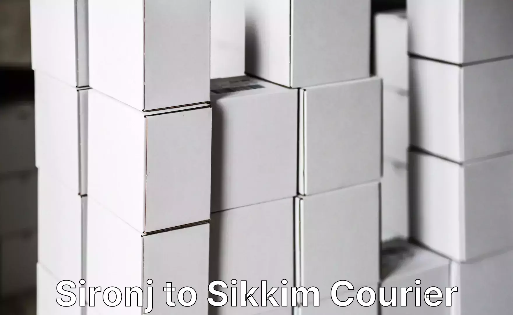 Home goods moving company Sironj to East Sikkim