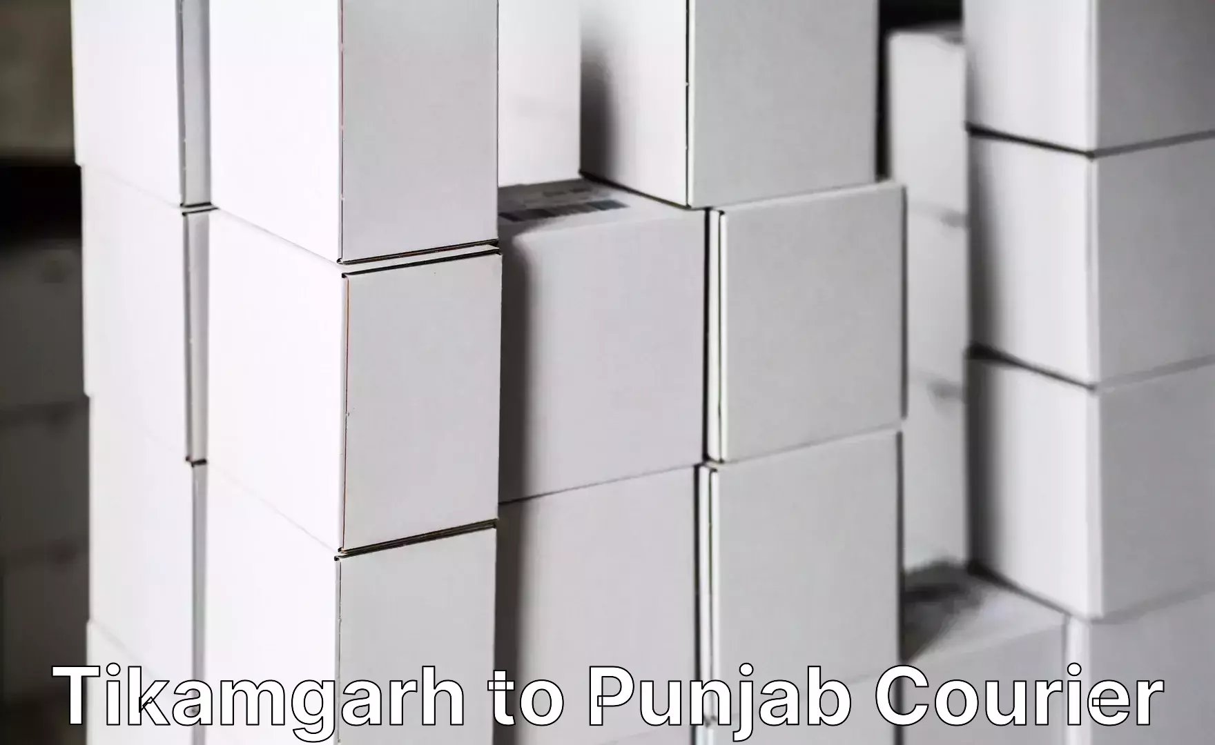 Household goods shipping Tikamgarh to Nangal