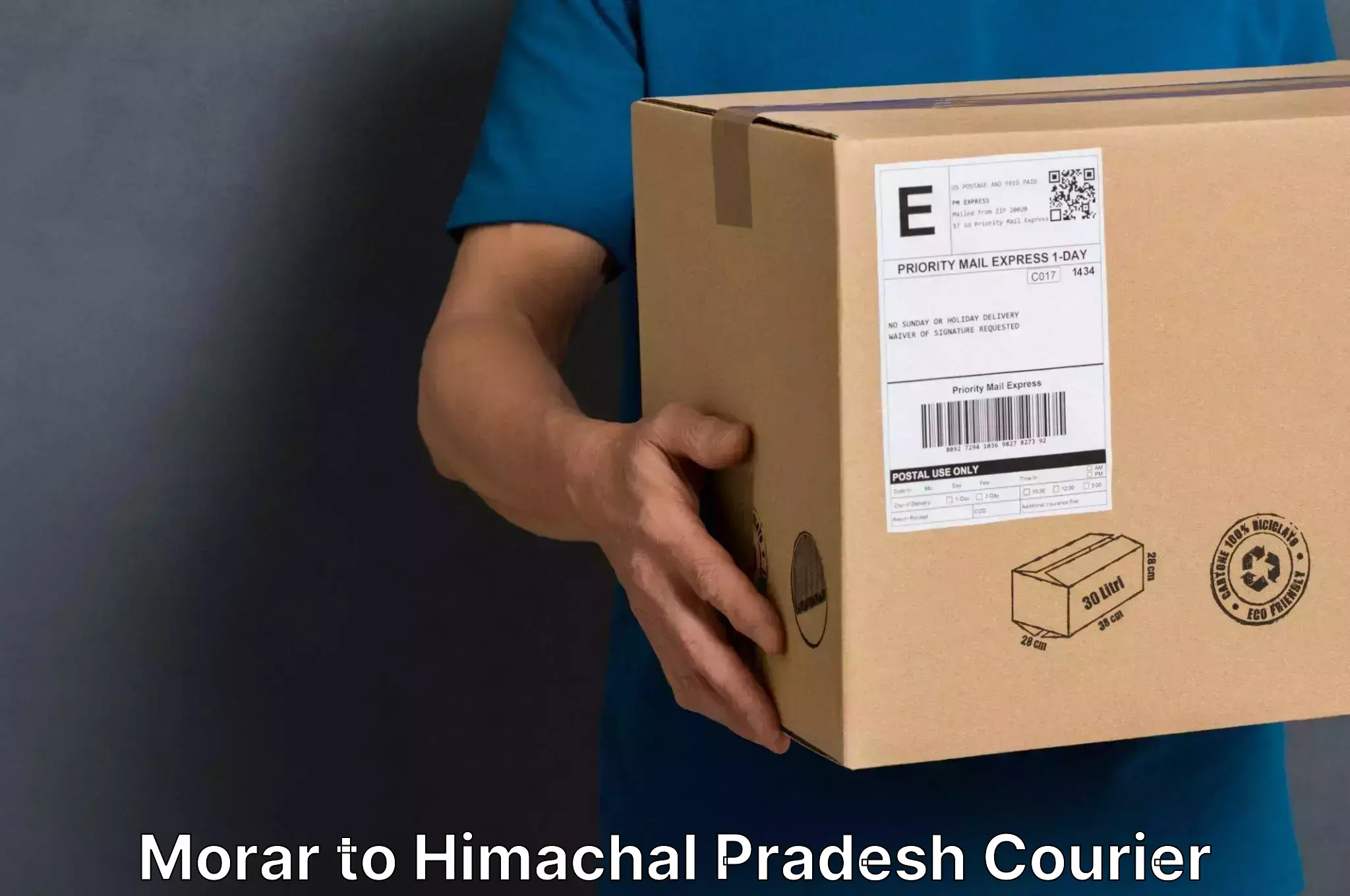 Baggage courier logistics Morar to Himachal Pradesh