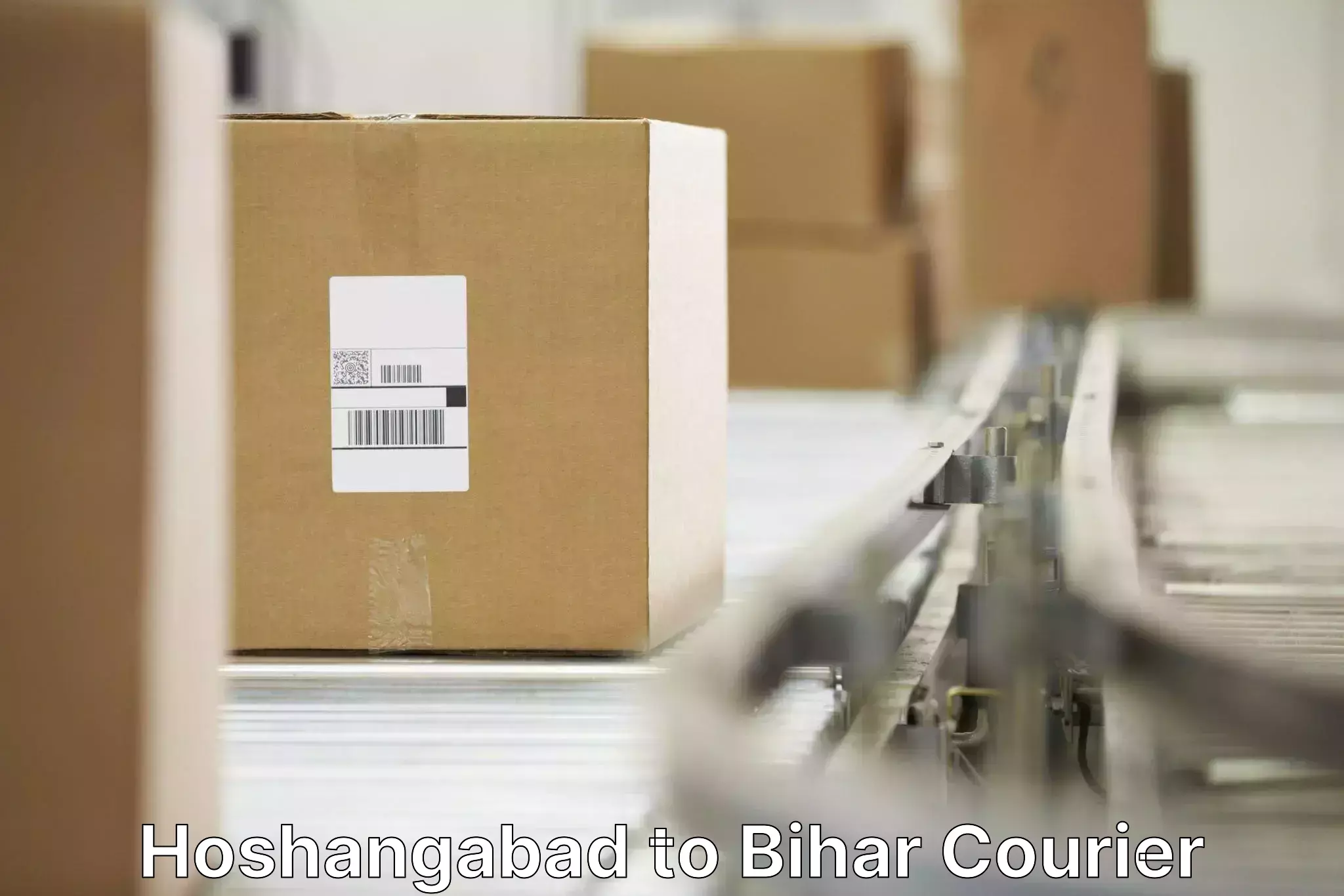 Luggage shipping planner Hoshangabad to Bihar Sharif