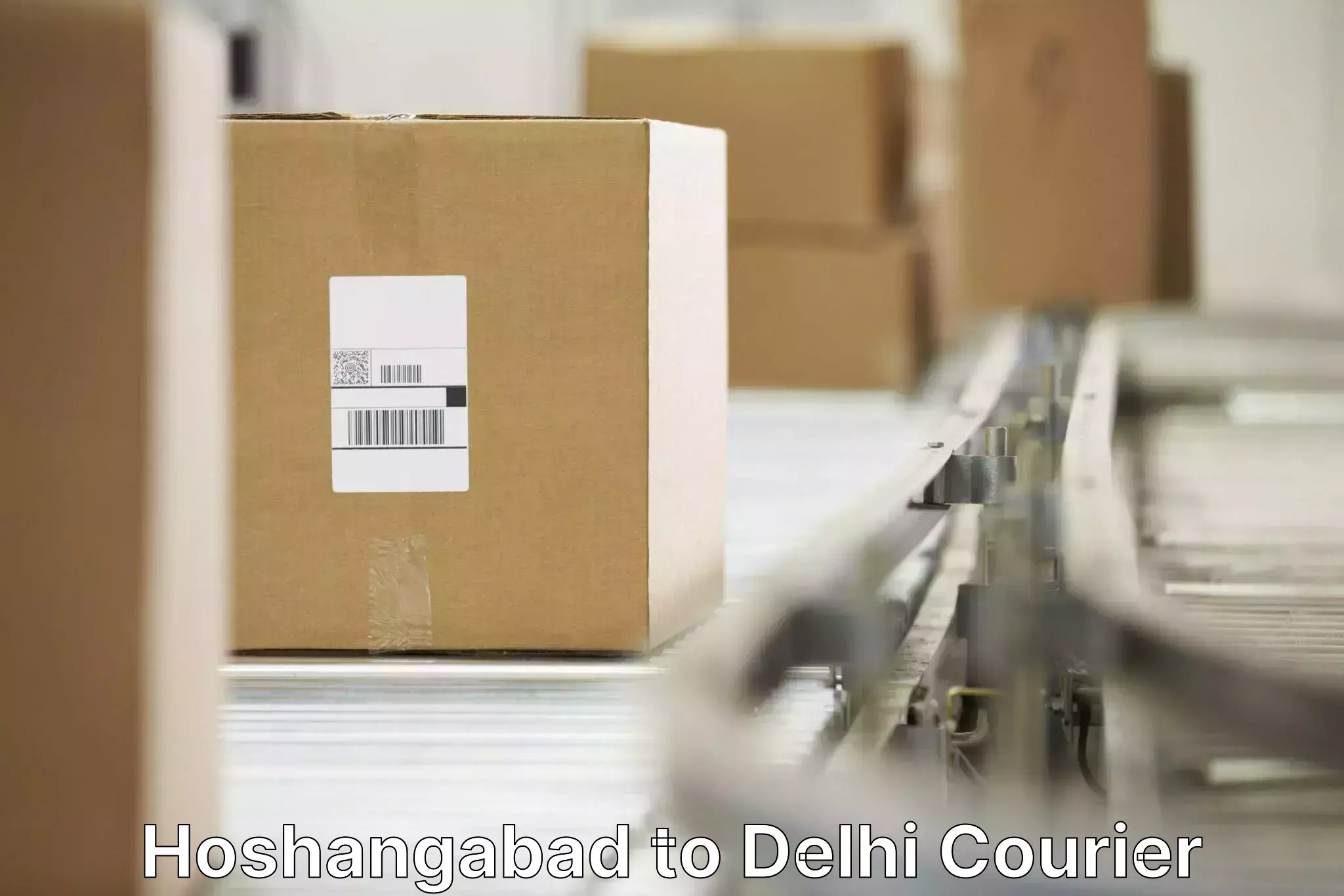 Comprehensive baggage courier Hoshangabad to Guru Gobind Singh Indraprastha University New Delhi