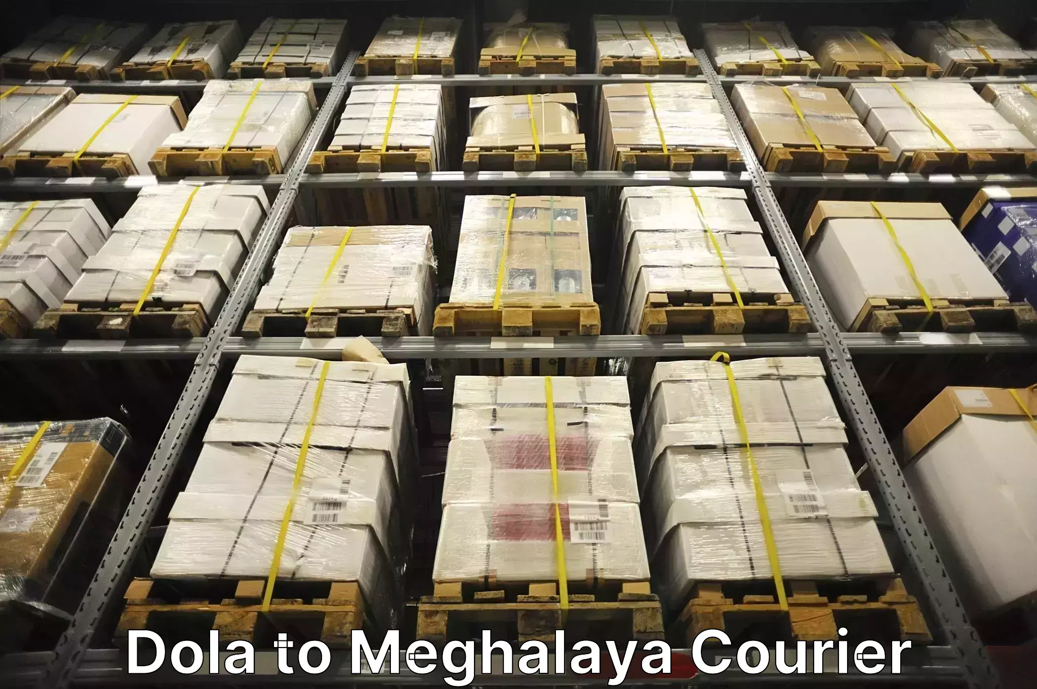 Baggage courier service Dola to NIT Meghalaya