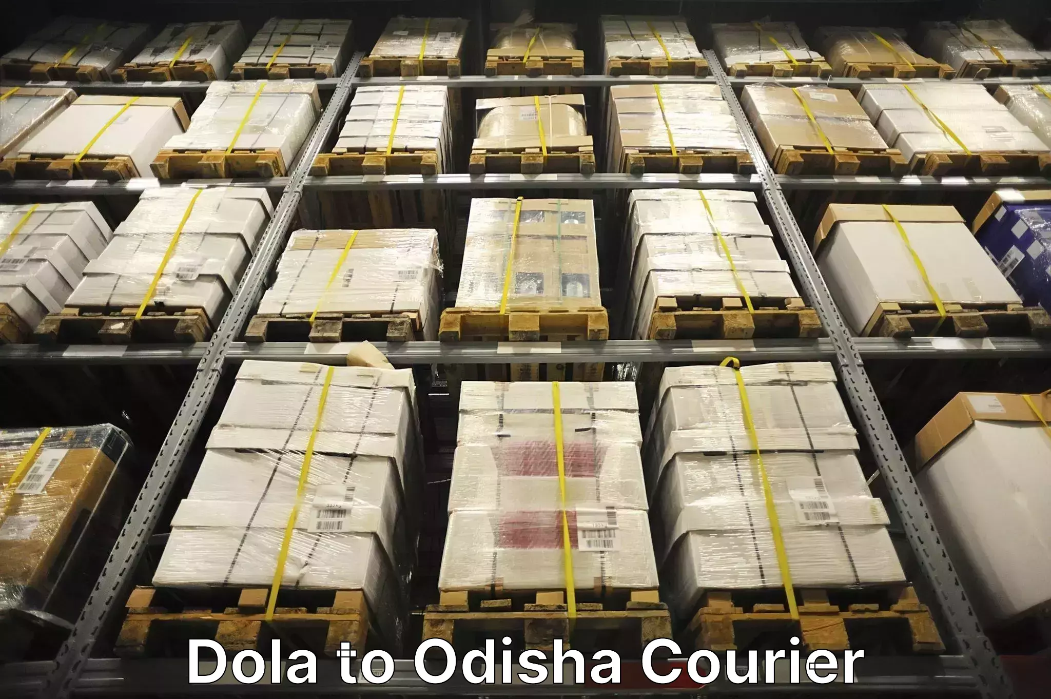 Versatile luggage courier Dola to Odisha