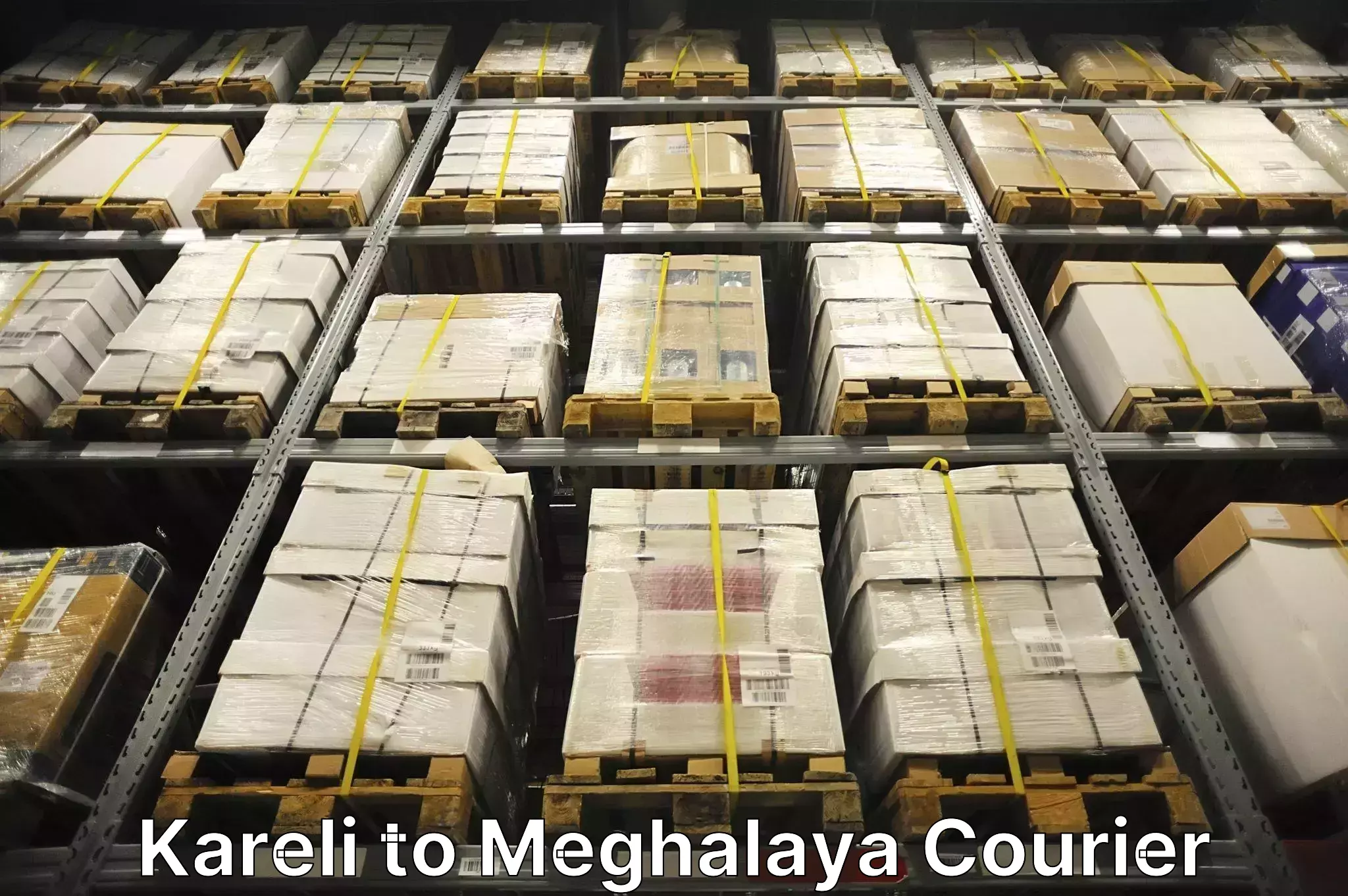 Luggage shipping options Kareli to NIT Meghalaya