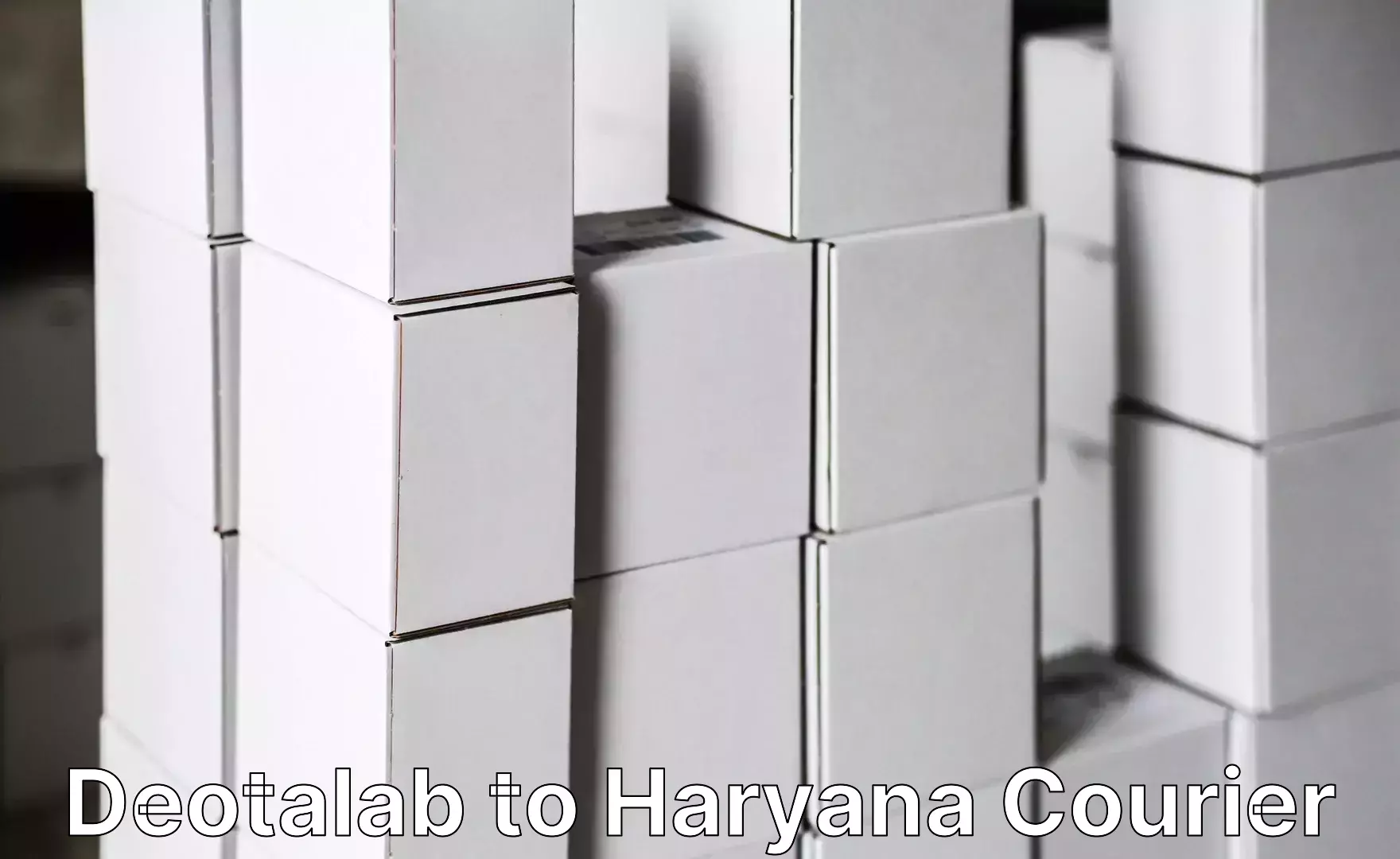 Luggage shipping specialists in Deotalab to Haryana