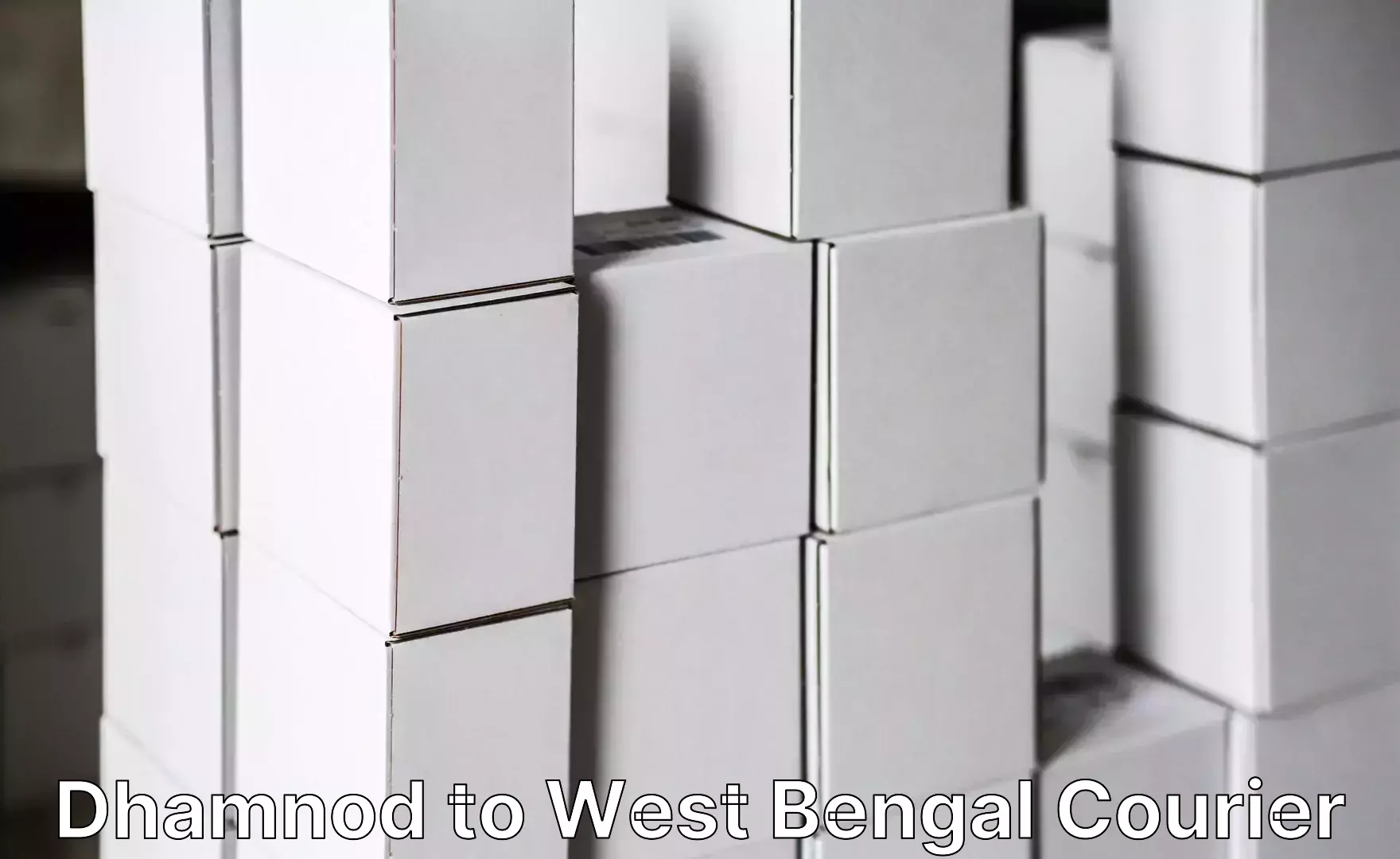 Baggage delivery support Dhamnod to West Bengal