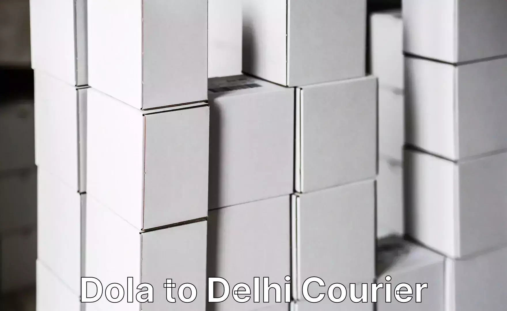 Luggage delivery operations Dola to NIT Delhi