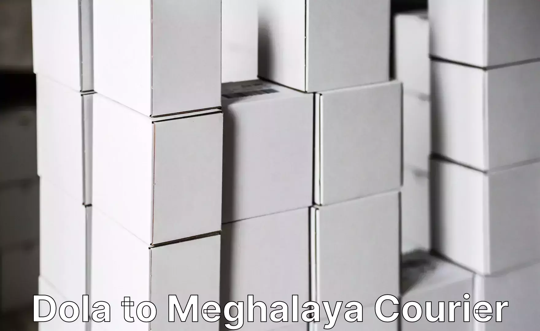 Baggage courier calculator Dola to Meghalaya