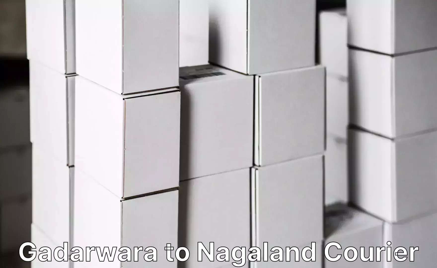 Baggage courier logistics Gadarwara to NIT Nagaland