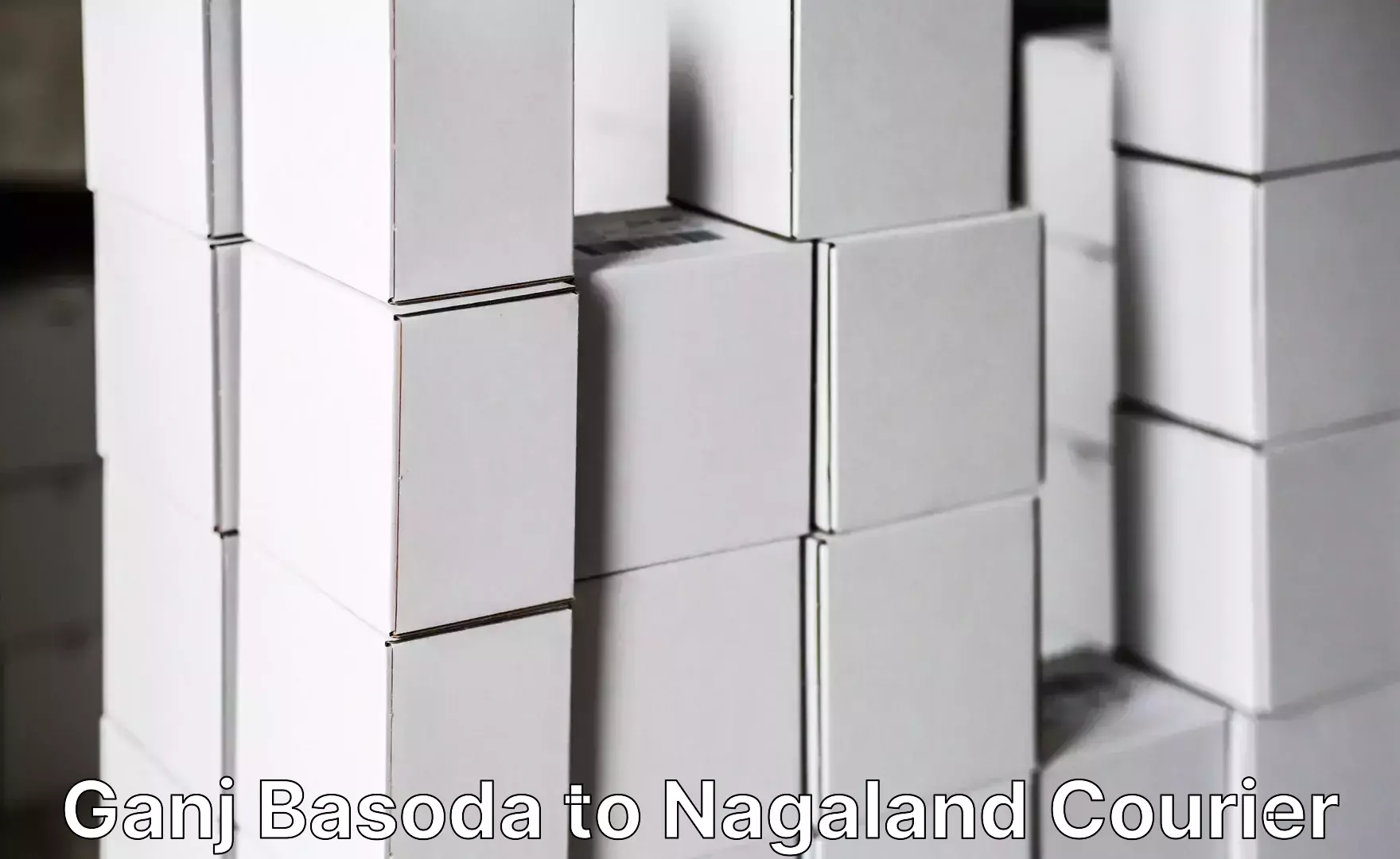 Affordable luggage courier Ganj Basoda to Nagaland