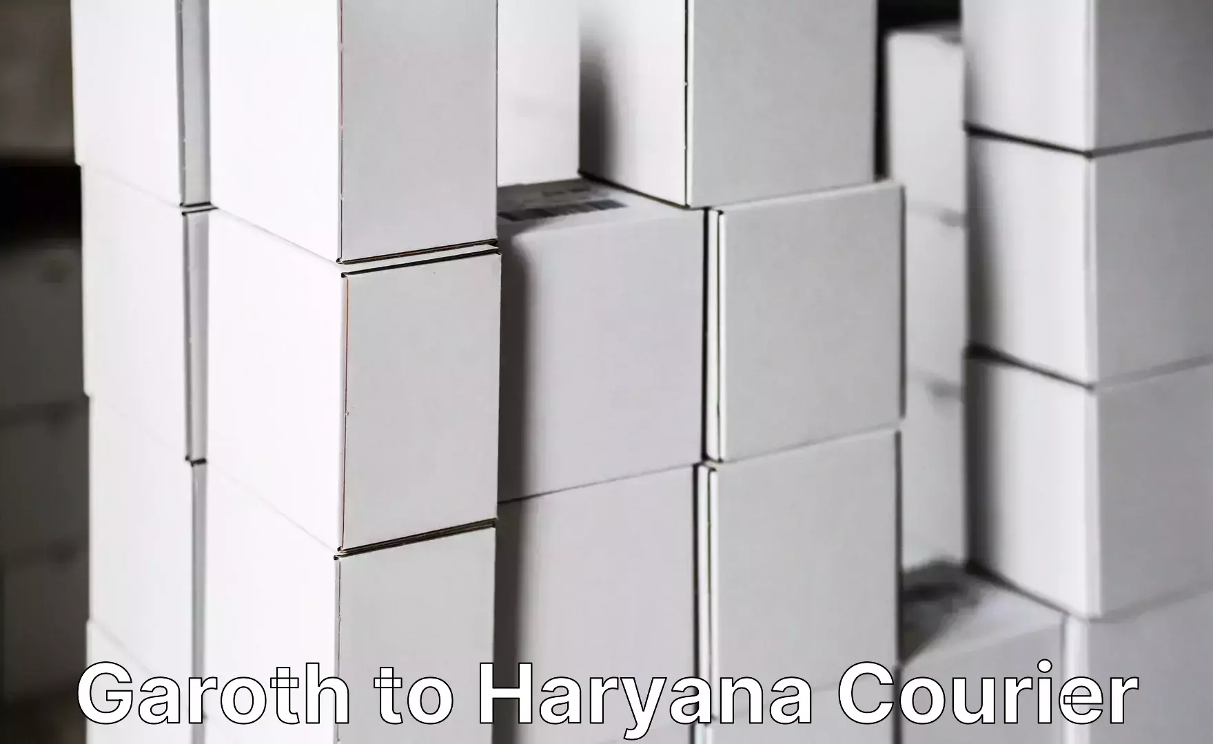 Premium luggage delivery in Garoth to Haryana