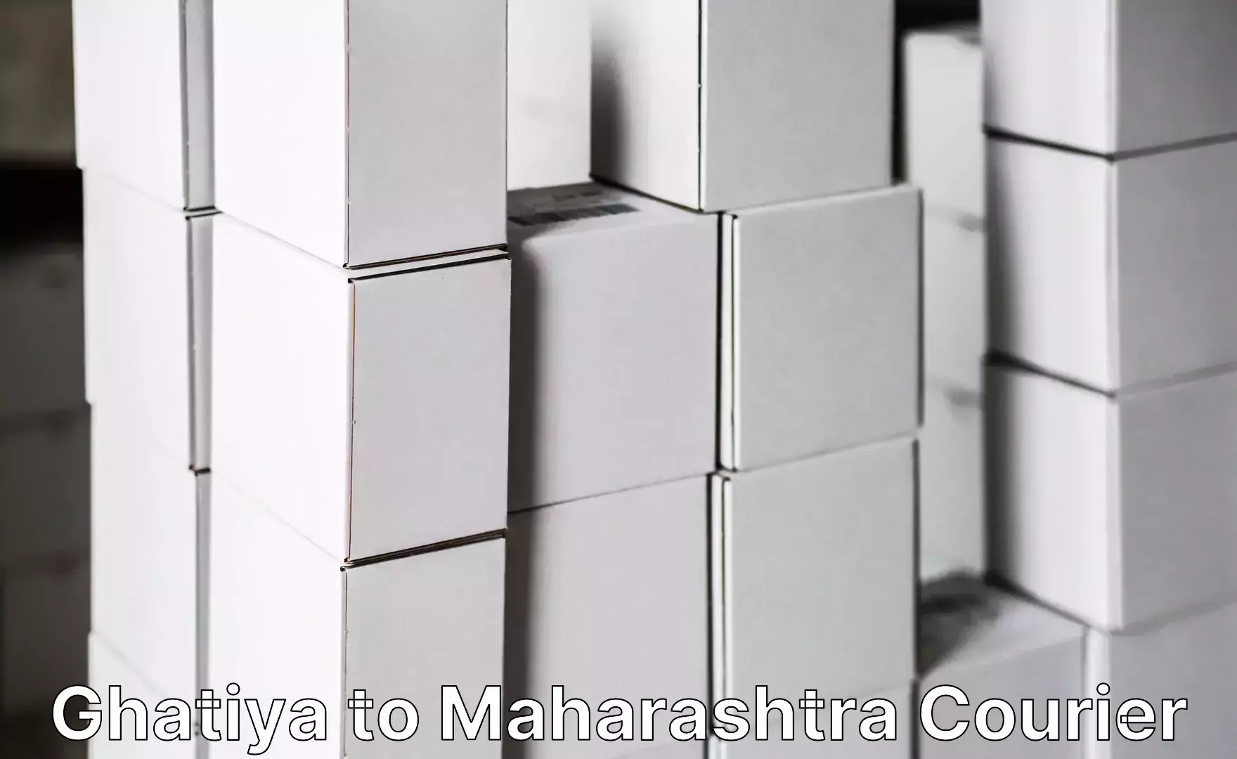 Baggage handling services Ghatiya to Maharashtra