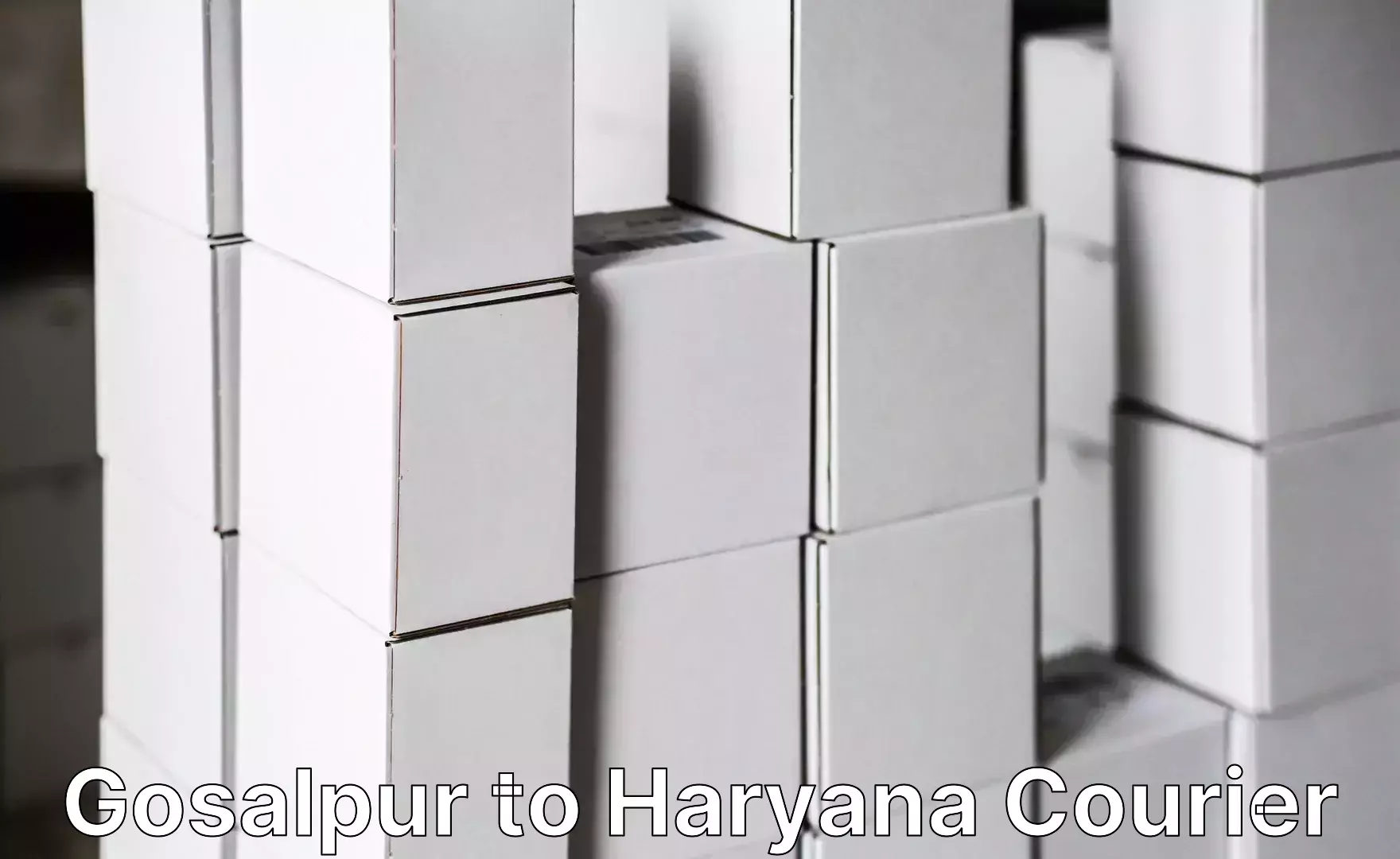 Baggage delivery management Gosalpur to Haryana