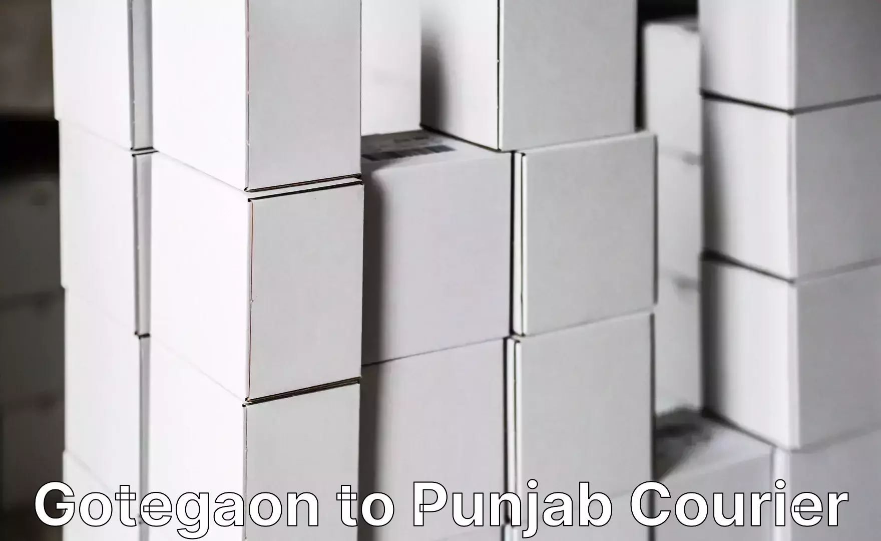 Express luggage delivery Gotegaon to Punjab