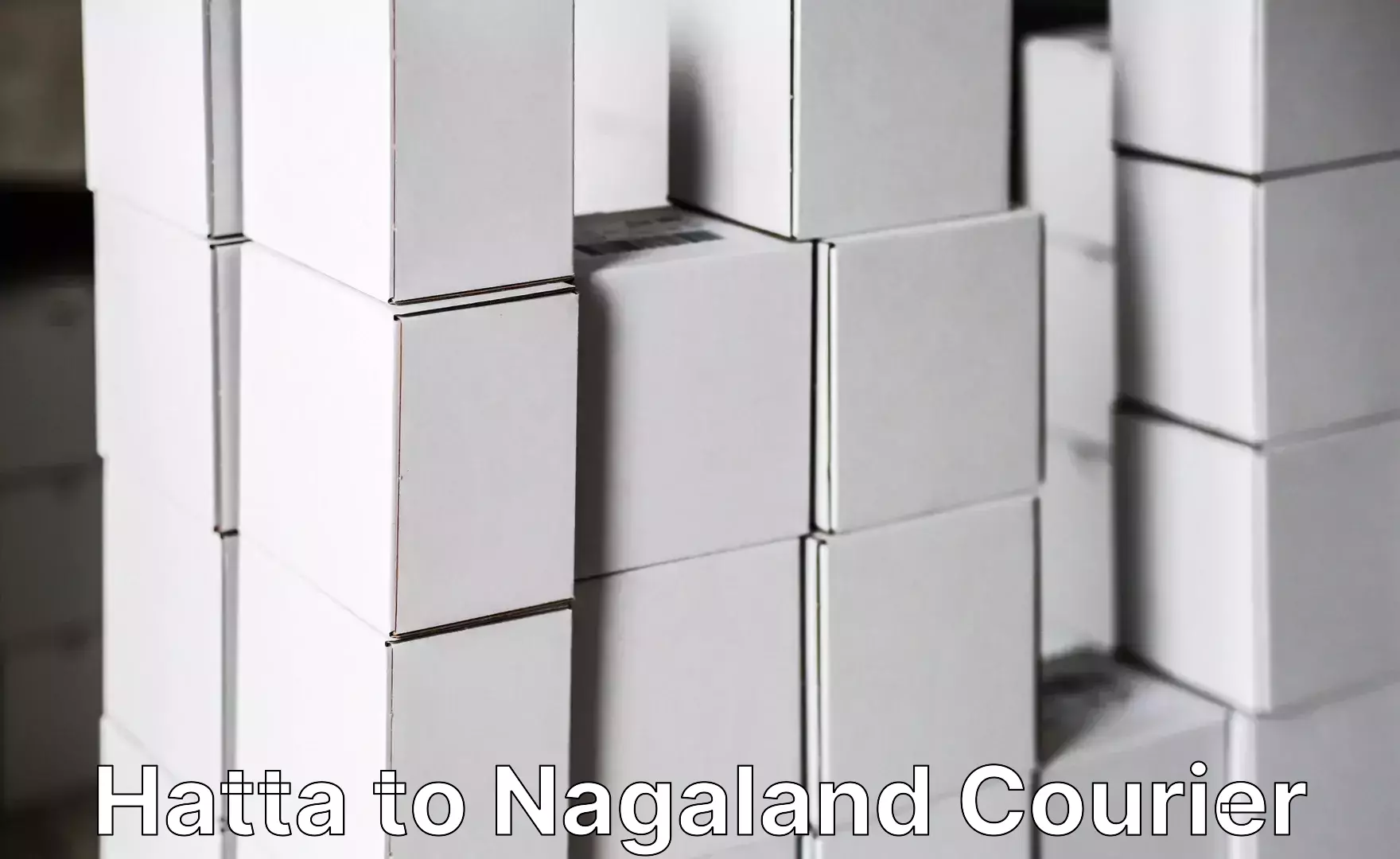 Luggage shipment specialists Hatta to NIT Nagaland