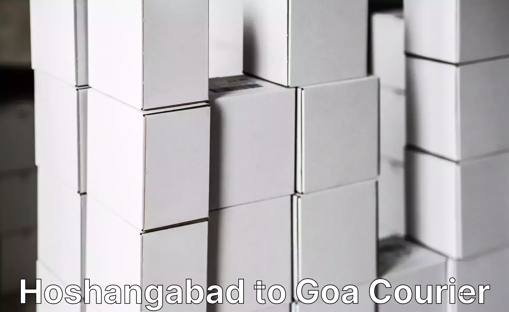 Scheduled baggage courier Hoshangabad to Goa