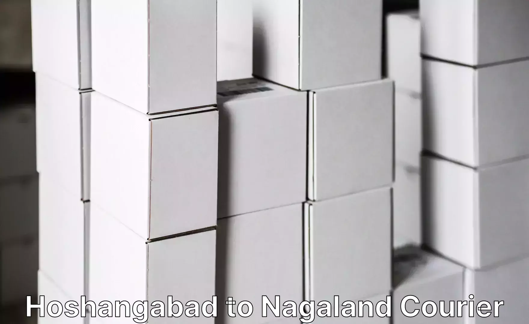 Baggage courier FAQs Hoshangabad to Nagaland