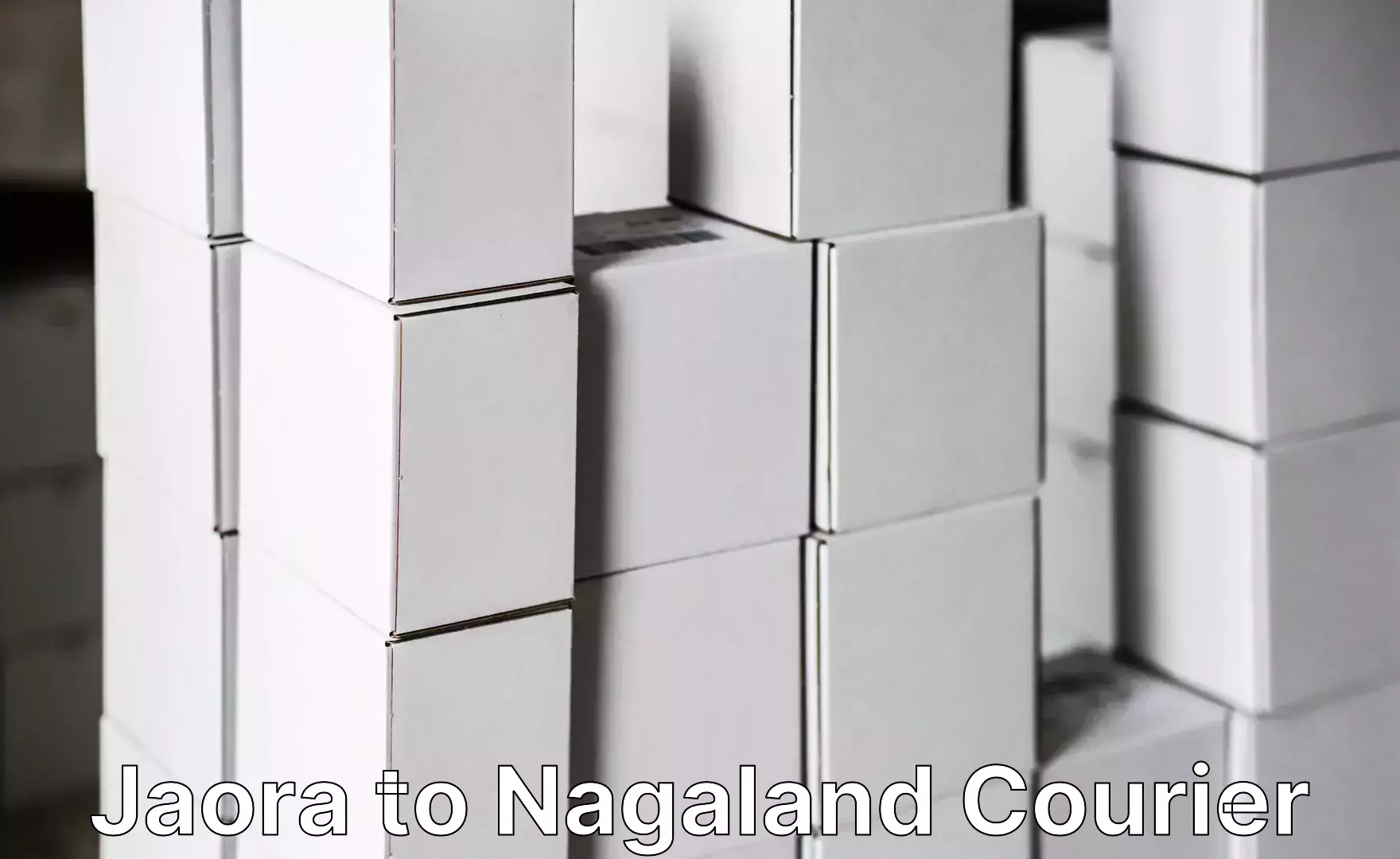 Nationwide luggage courier Jaora to Nagaland