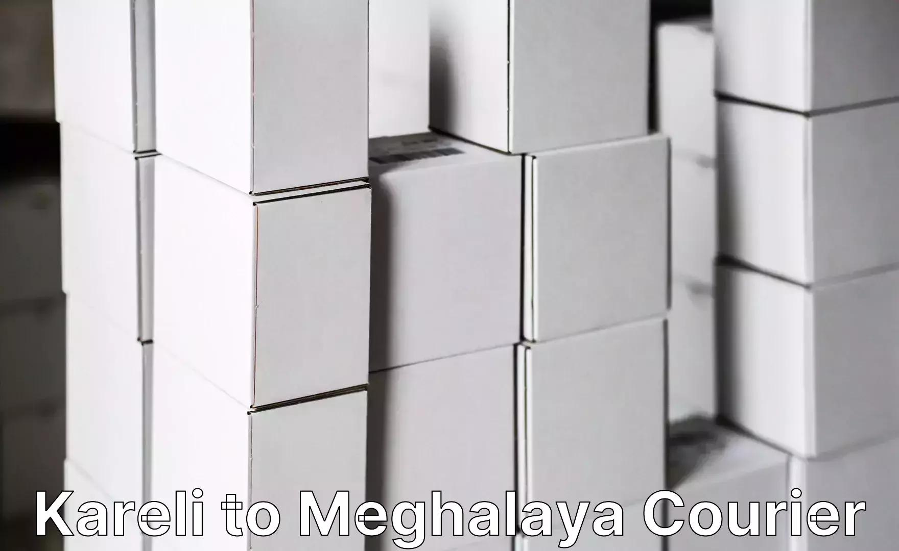 Doorstep luggage collection Kareli to Meghalaya