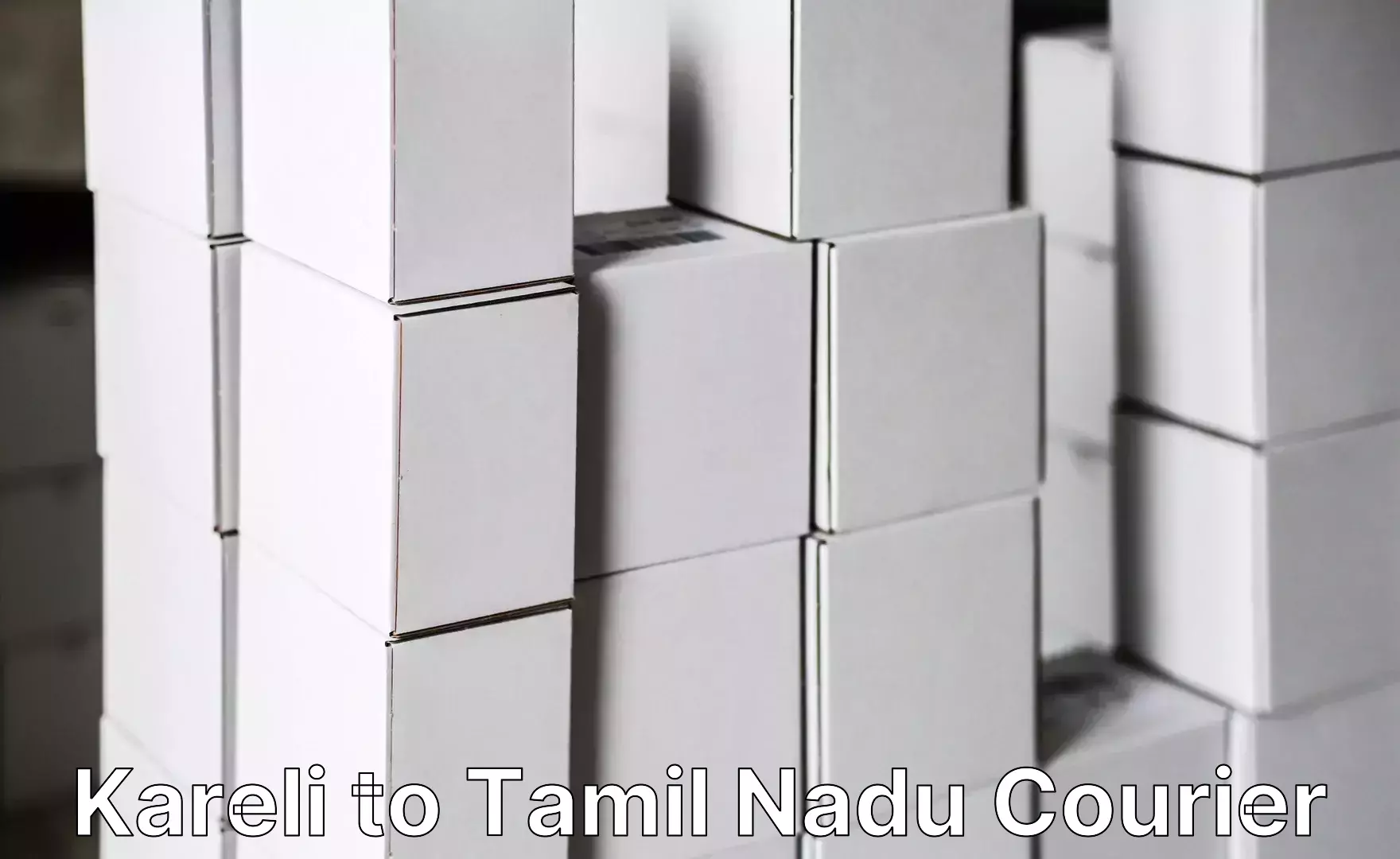 Baggage delivery estimate Kareli to Tamil Nadu