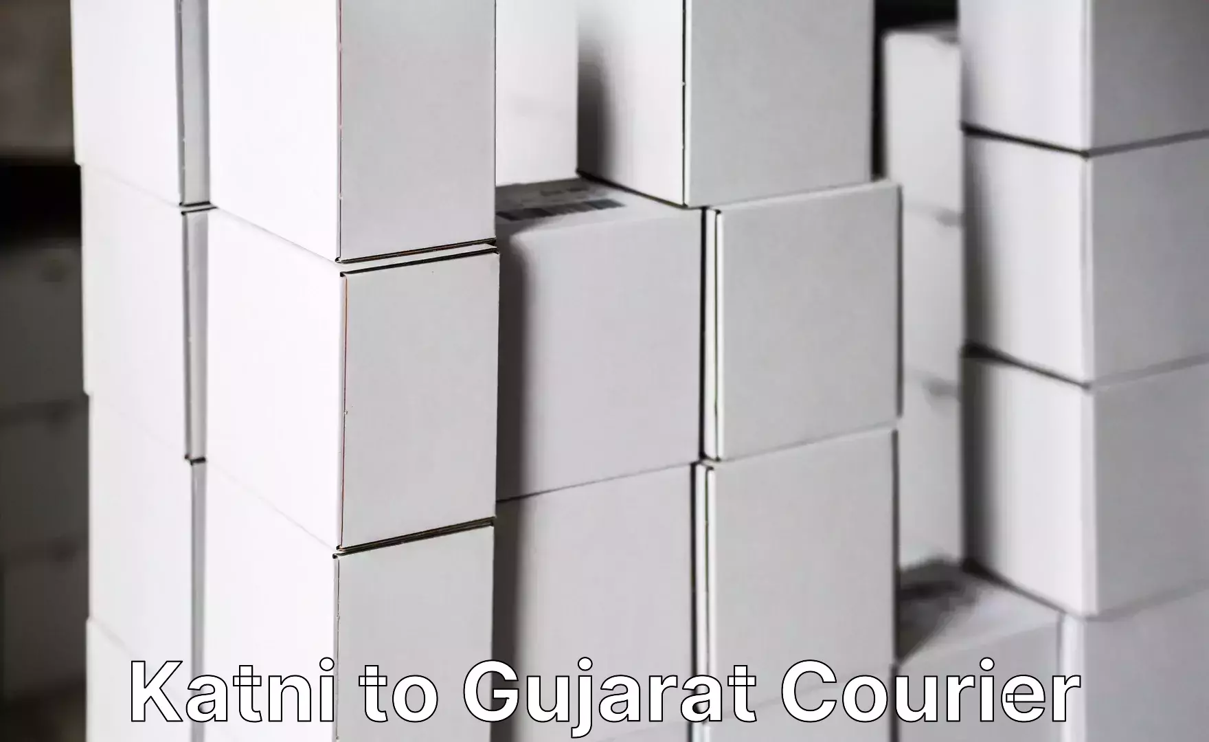 Suburban luggage delivery in Katni to Gujarat