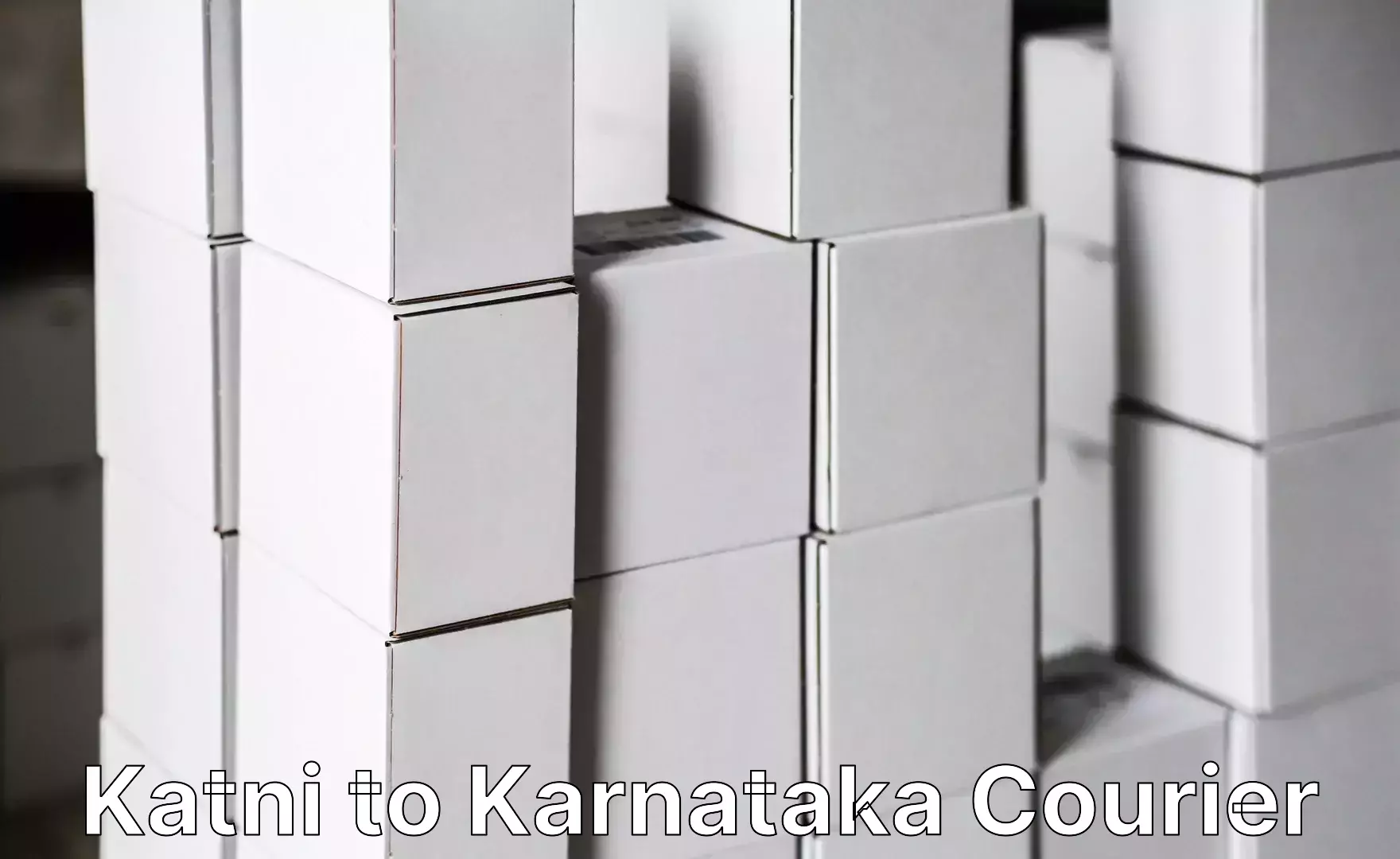 Luggage shipping estimate Katni to Karnataka