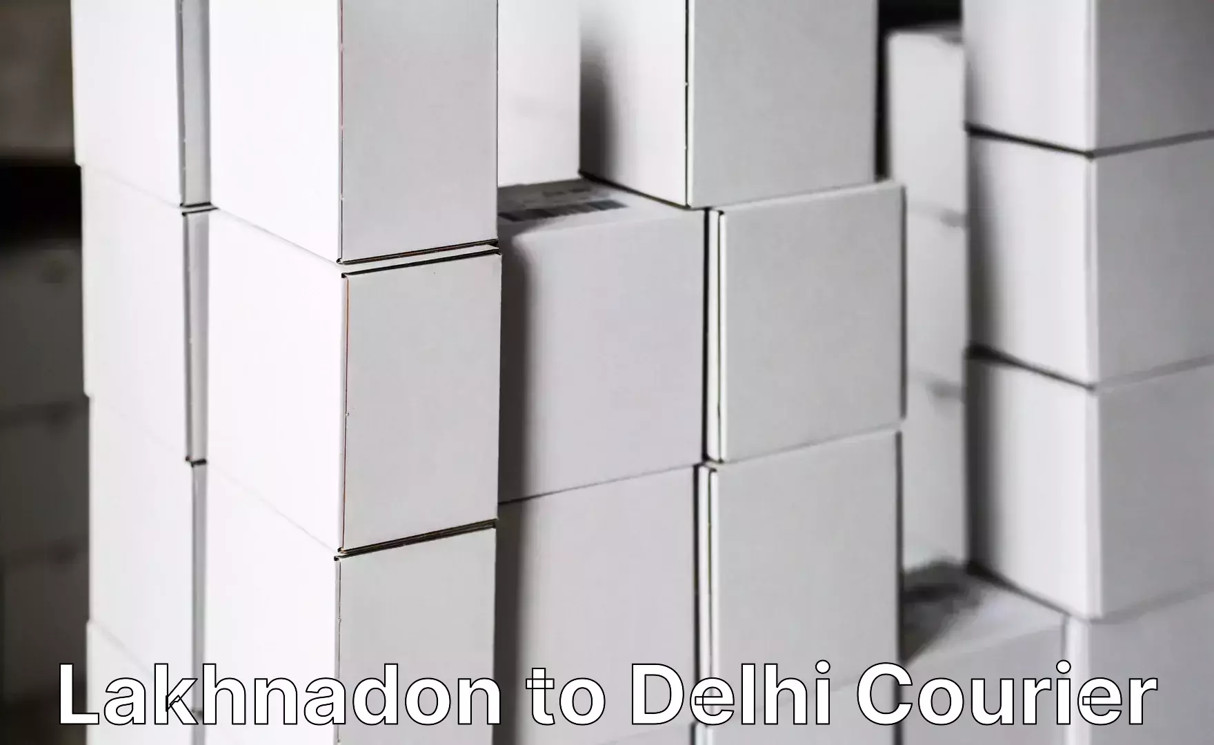 Simplified luggage transport Lakhnadon to Delhi