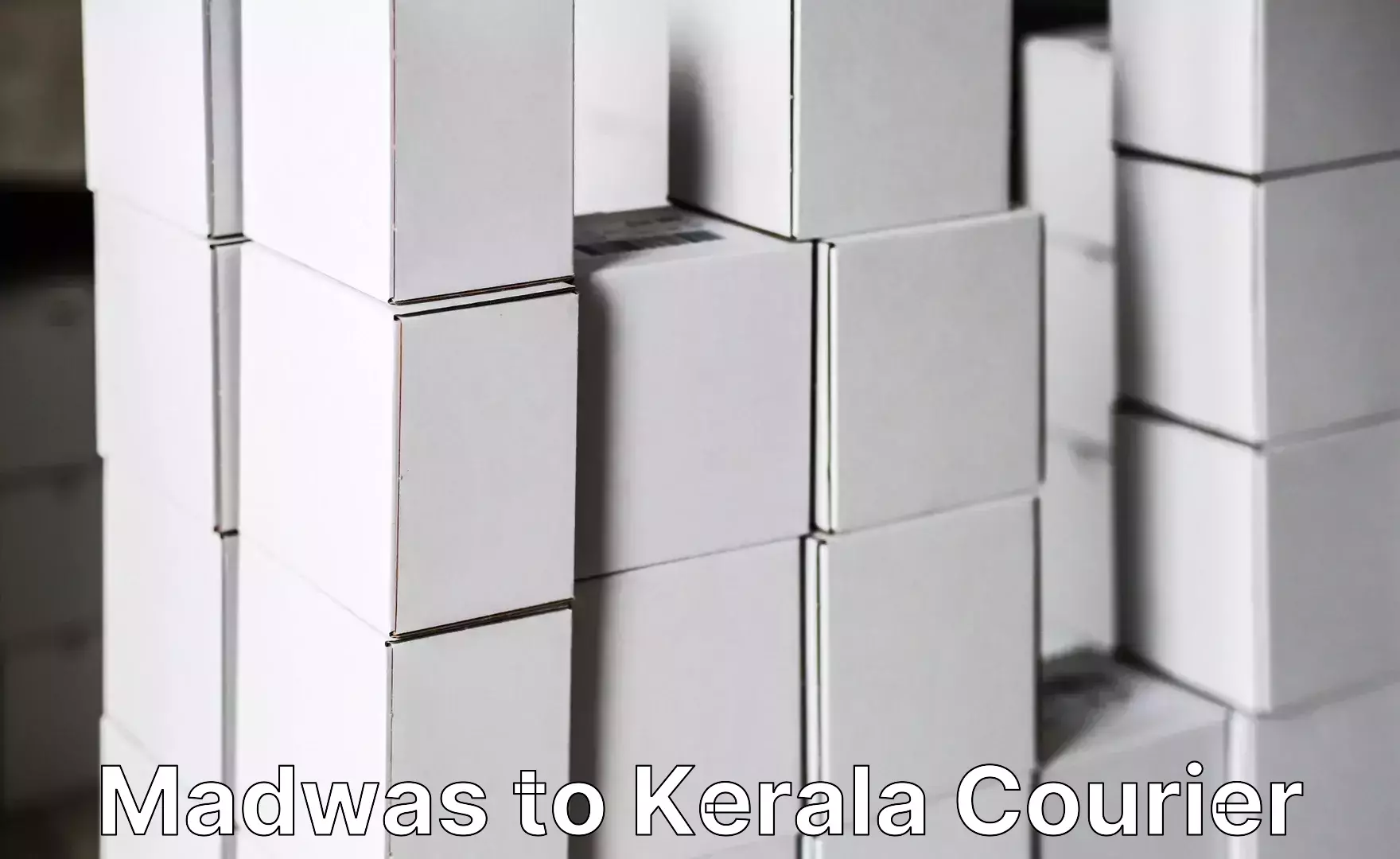 Luggage courier excellence Madwas to Kanhangad