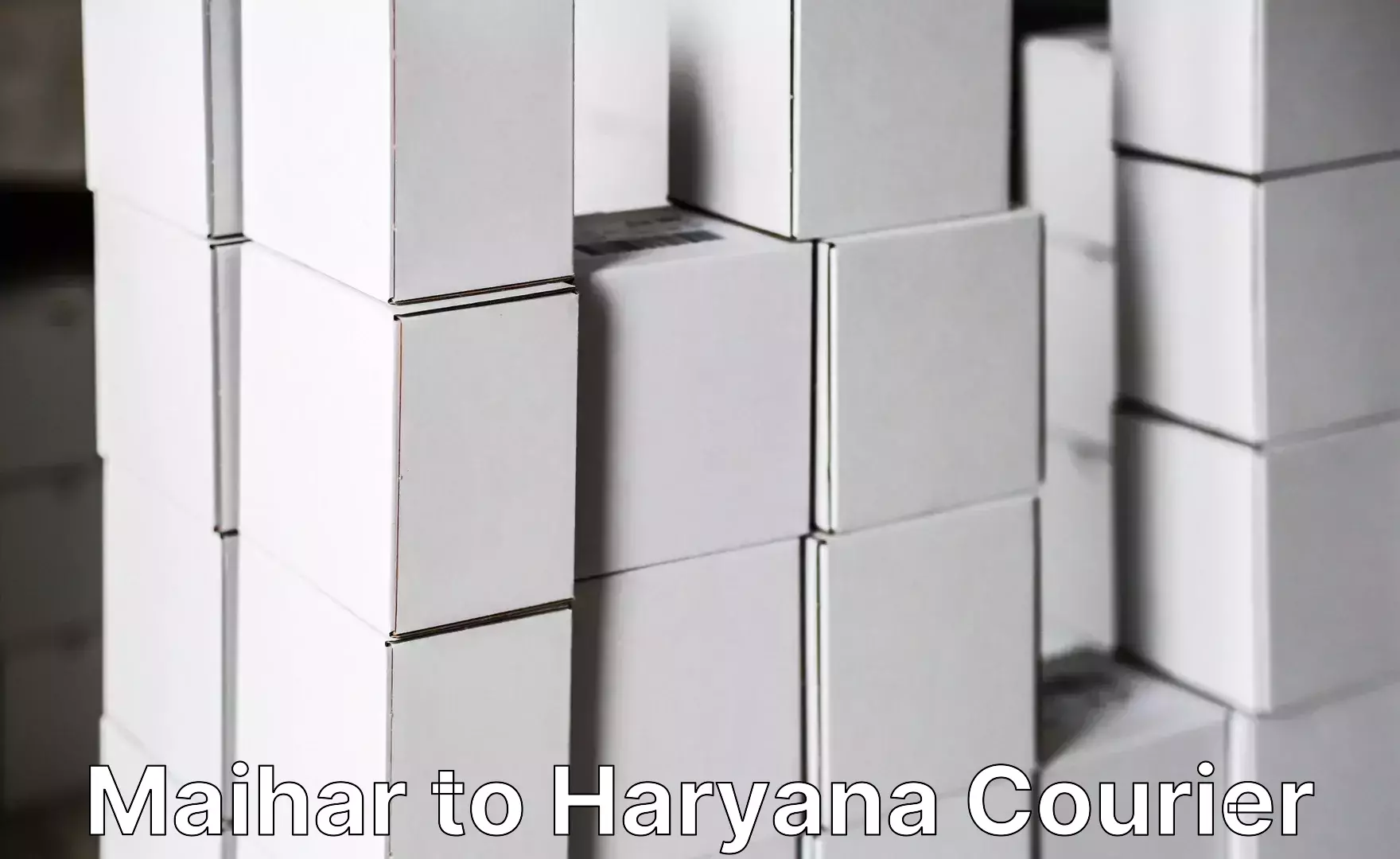 Affordable luggage courier Maihar to Chaudhary Charan Singh Haryana Agricultural University Hisar