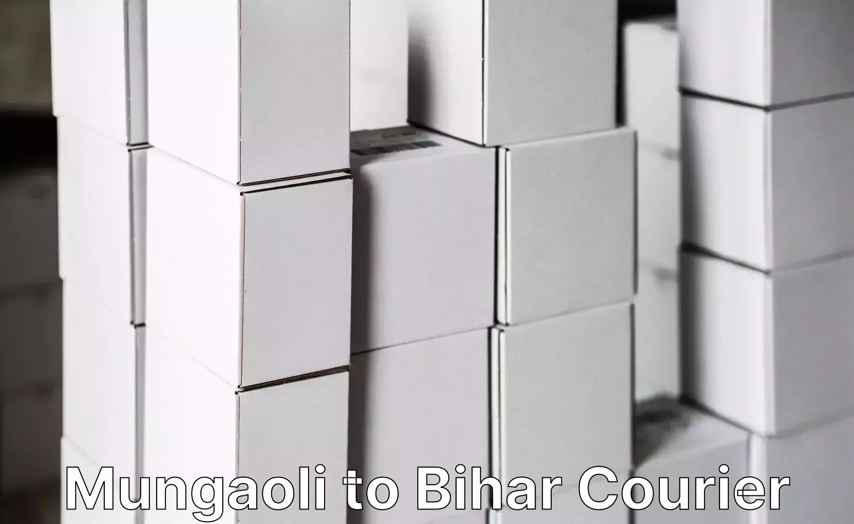 Luggage shipping consultation Mungaoli to Bihar