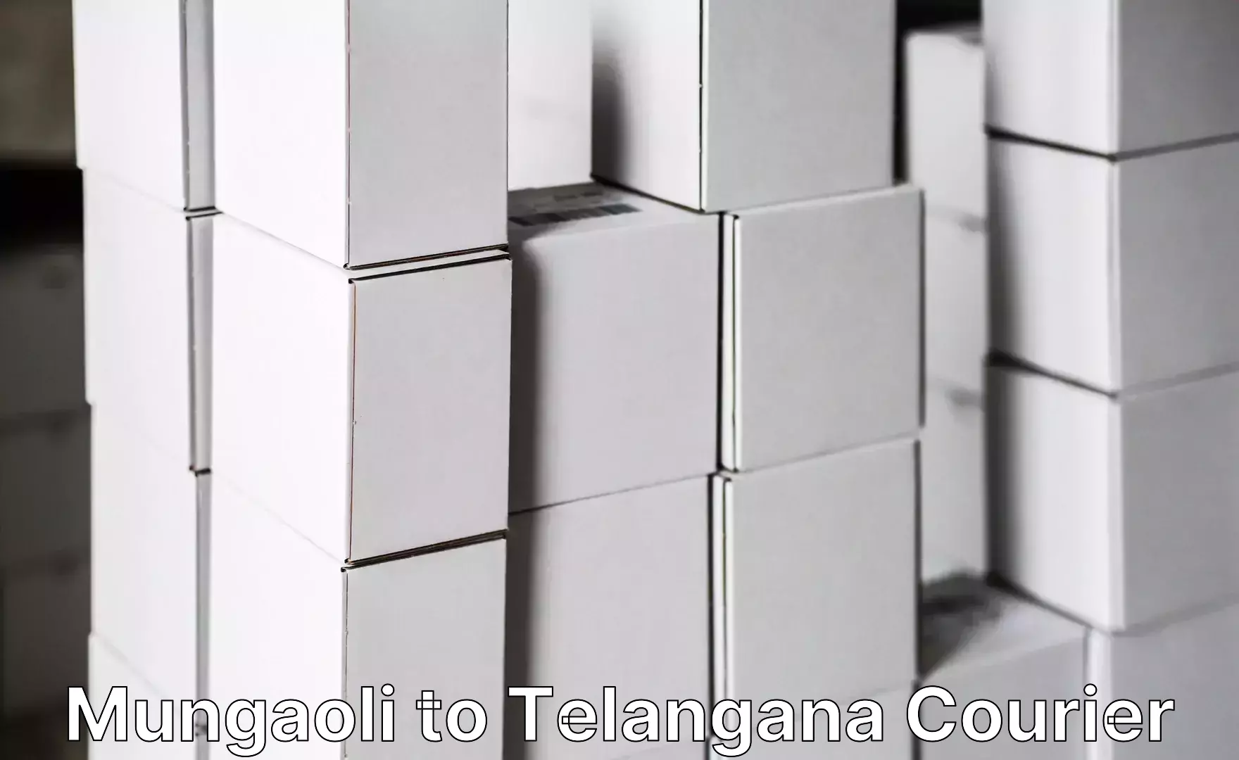 Efficient baggage courier system Mungaoli to Karimnagar