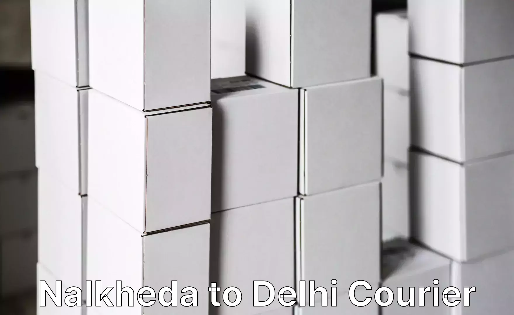 Luggage shipping management Nalkheda to University of Delhi