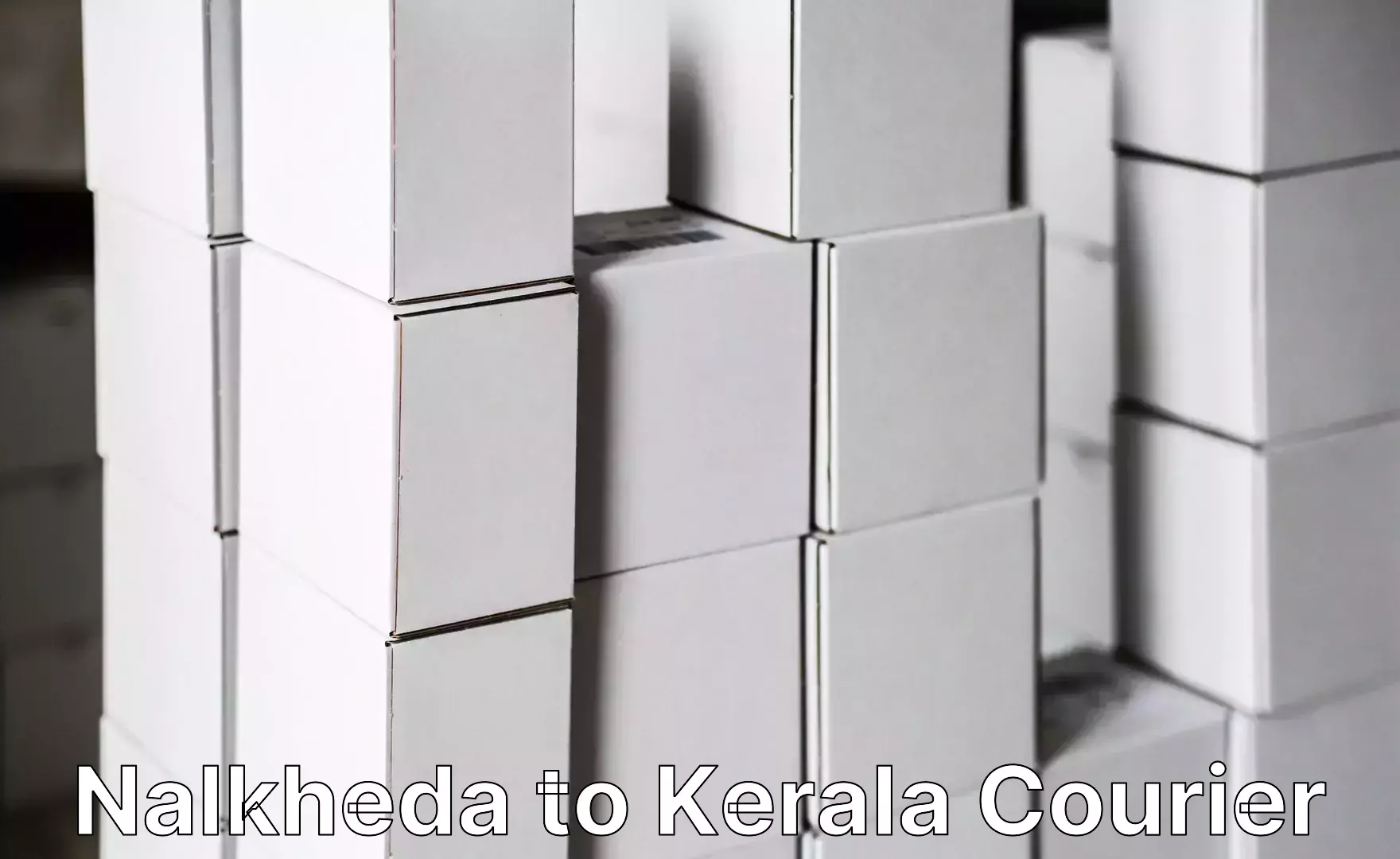 Premium luggage courier Nalkheda to Palakkad