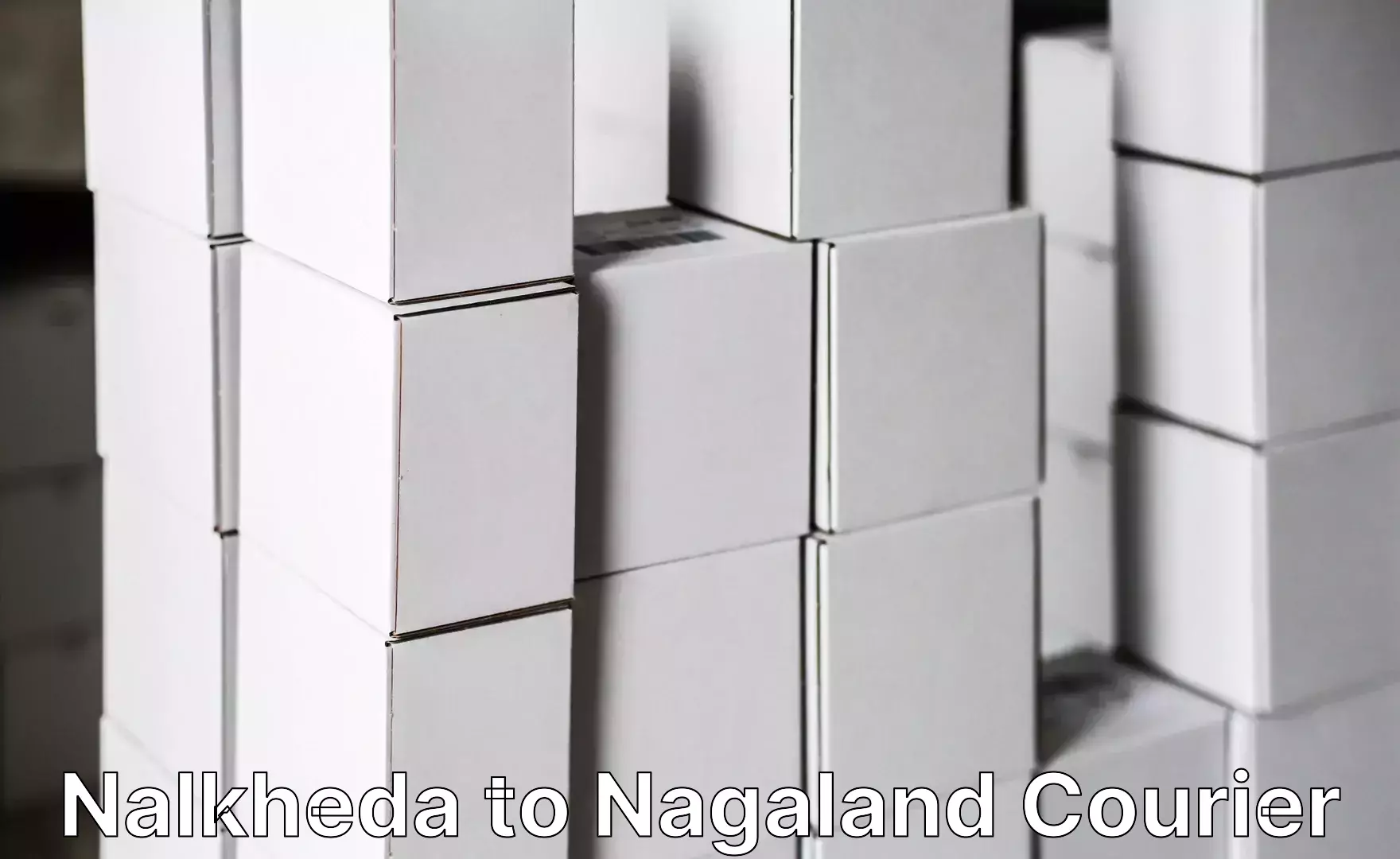 Luggage shipment logistics Nalkheda to NIT Nagaland