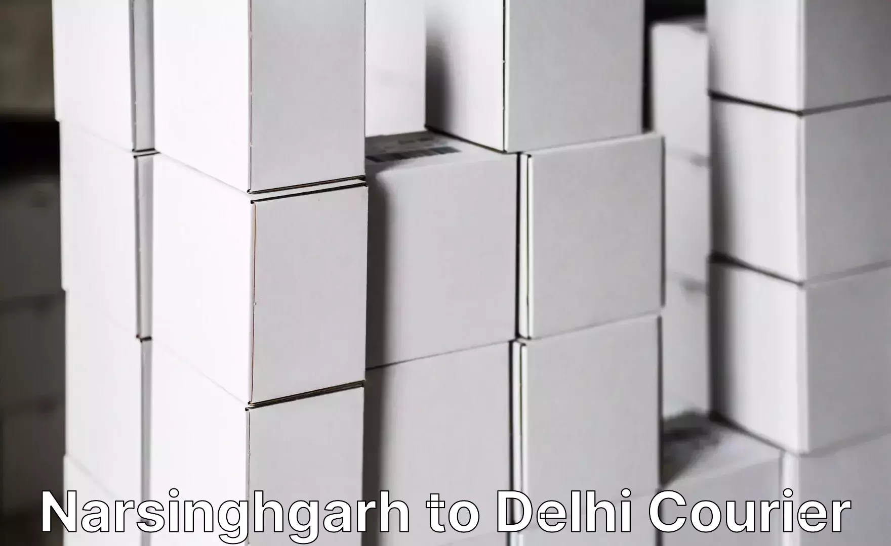 Global baggage shipping Narsinghgarh to Jamia Millia Islamia New Delhi