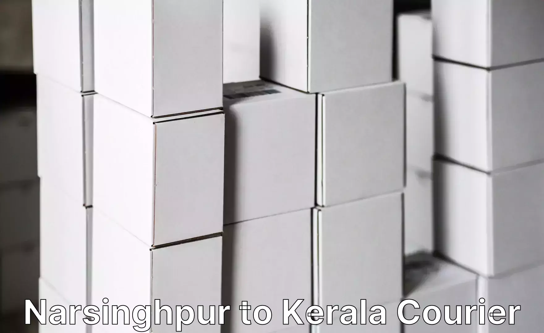 Luggage courier planning Narsinghpur to Tirurangadi