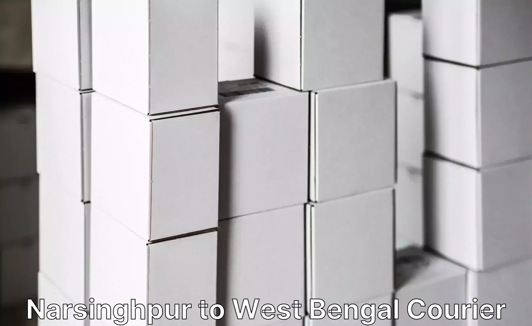 Hassle-free luggage shipping Narsinghpur to Panjipara