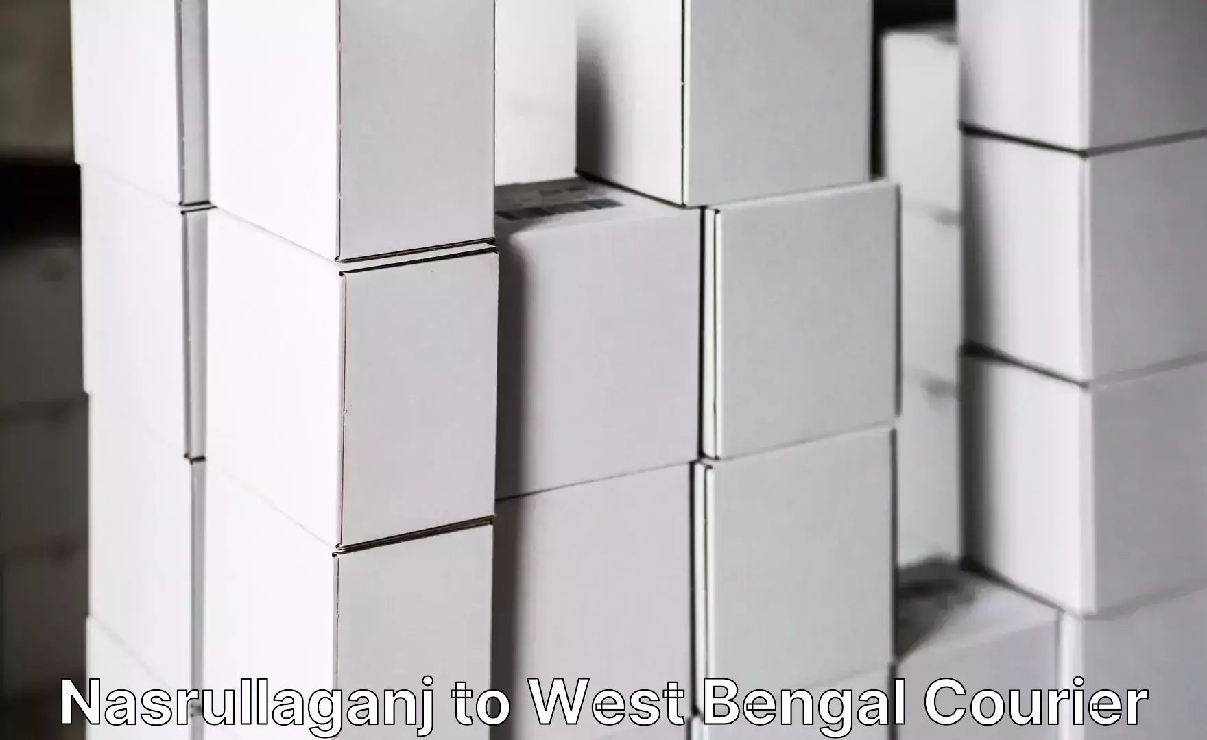 Efficient baggage courier system Nasrullaganj to Dakshin Dinajpur